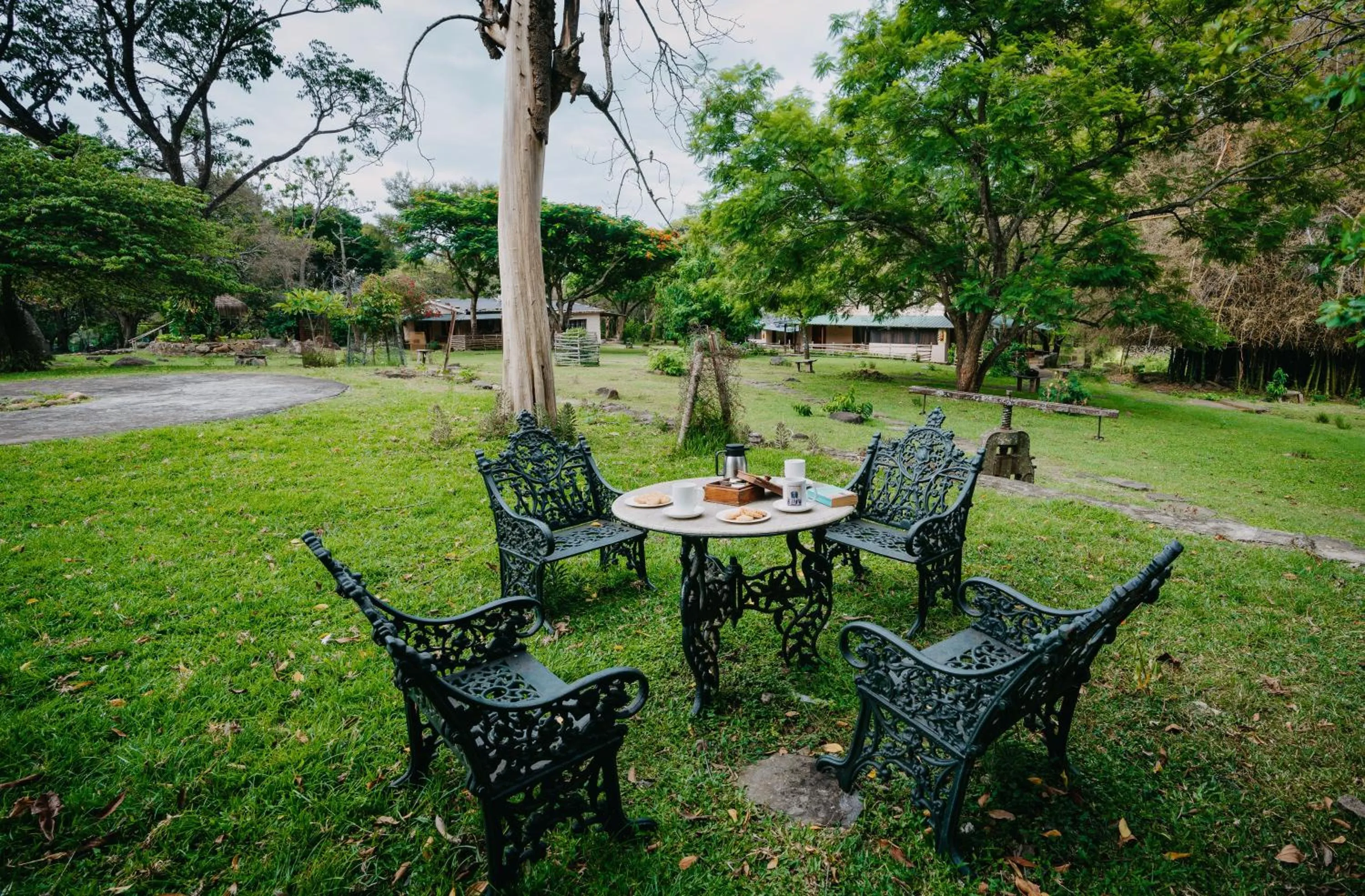 Property building in Jungle Hut Resort
