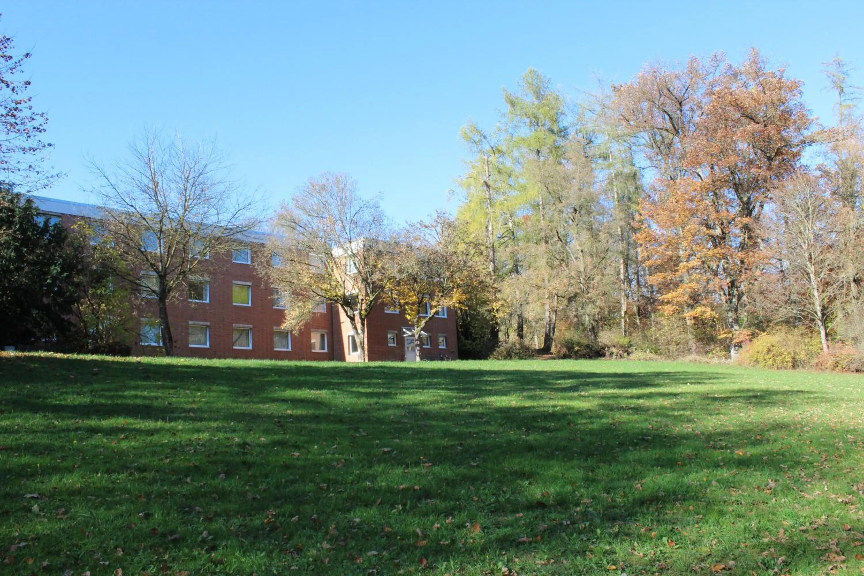 Garden in Adventure Campus