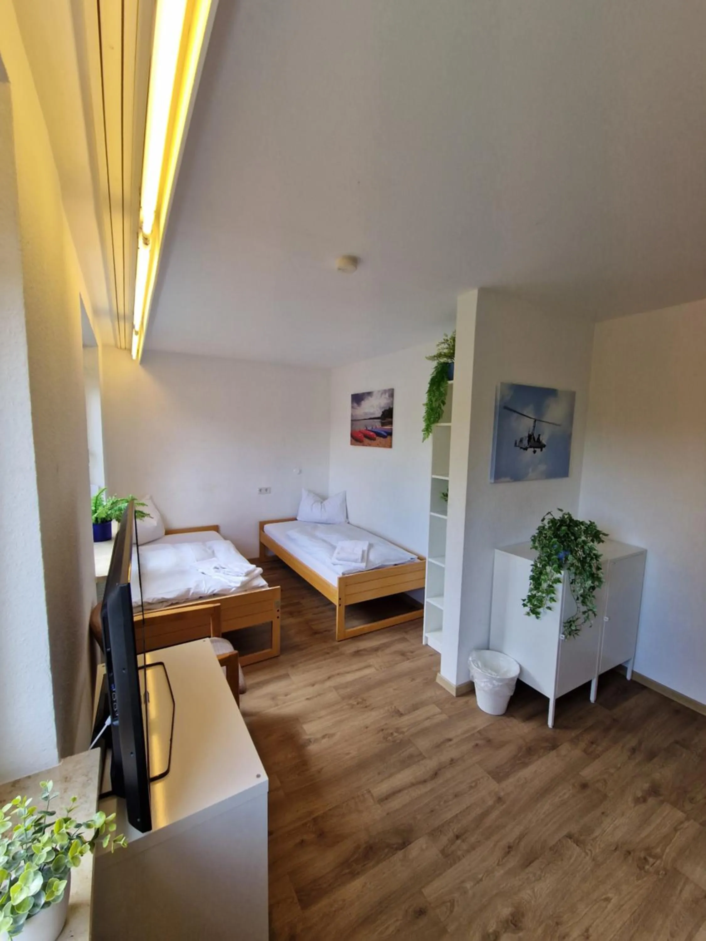 Photo of the whole room, Bed in Adventure Campus