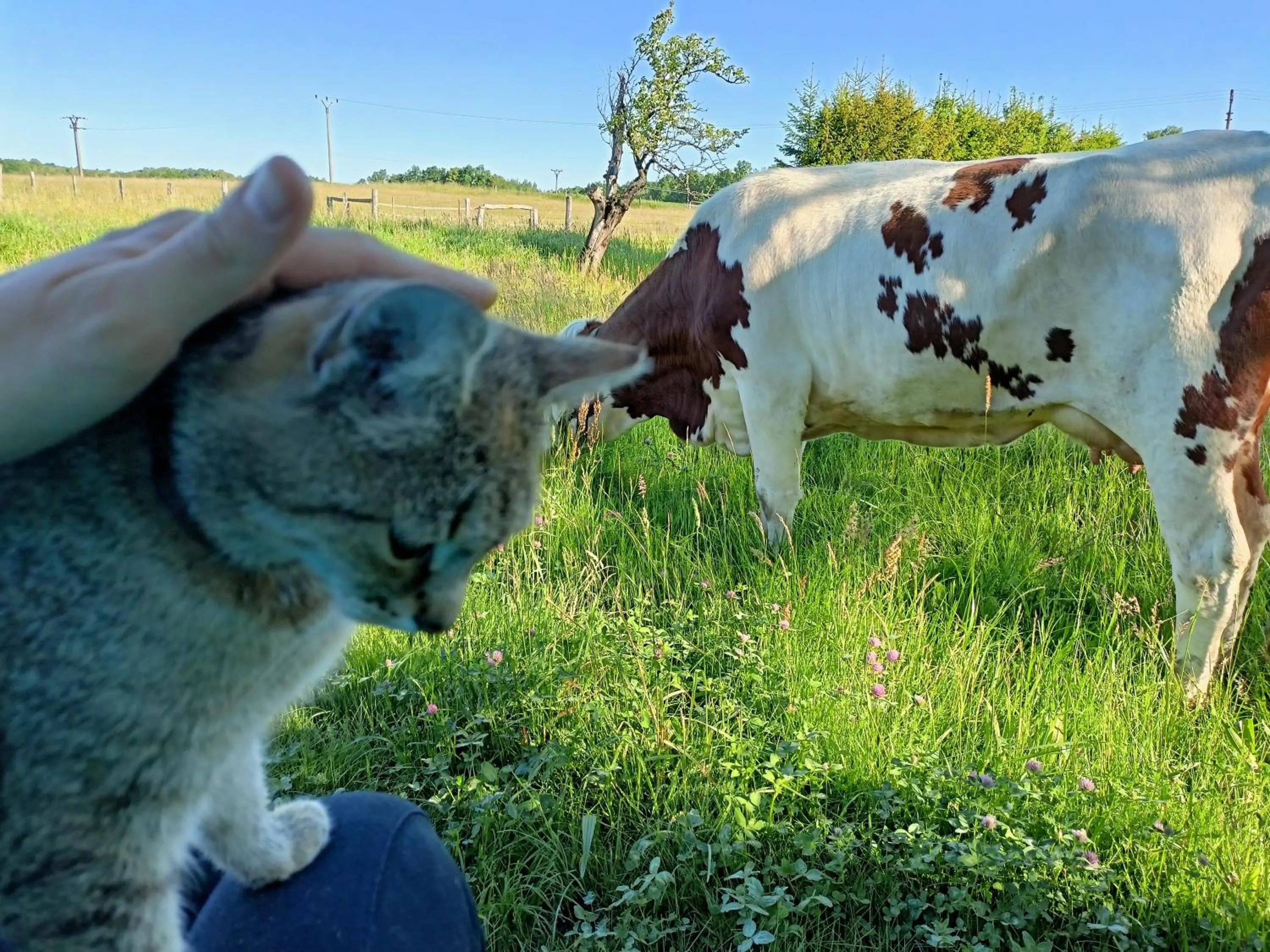 Farma U Nýdrlů