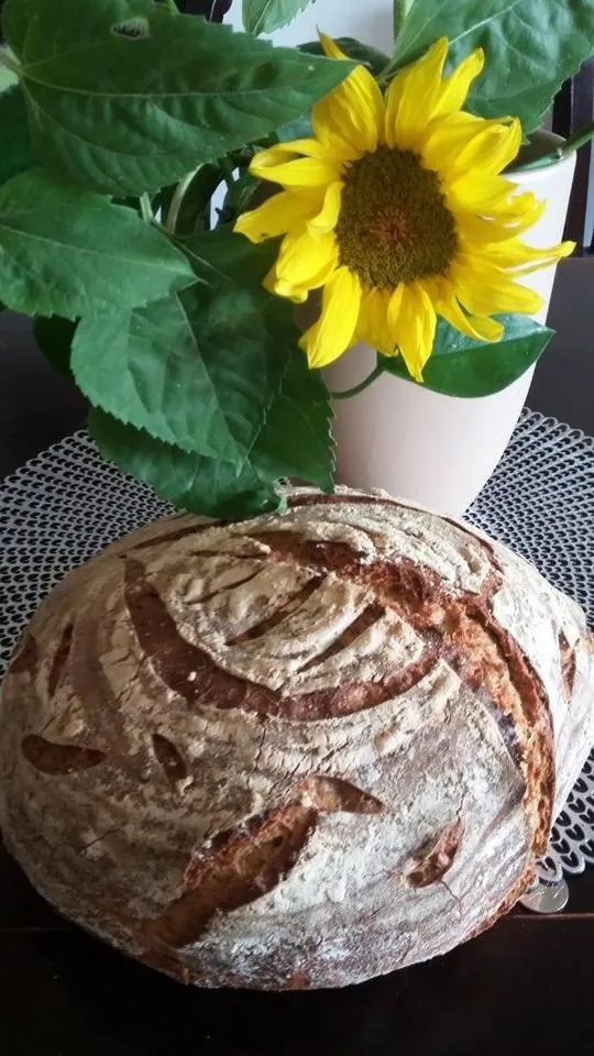 Food in Farma U Nýdrlů