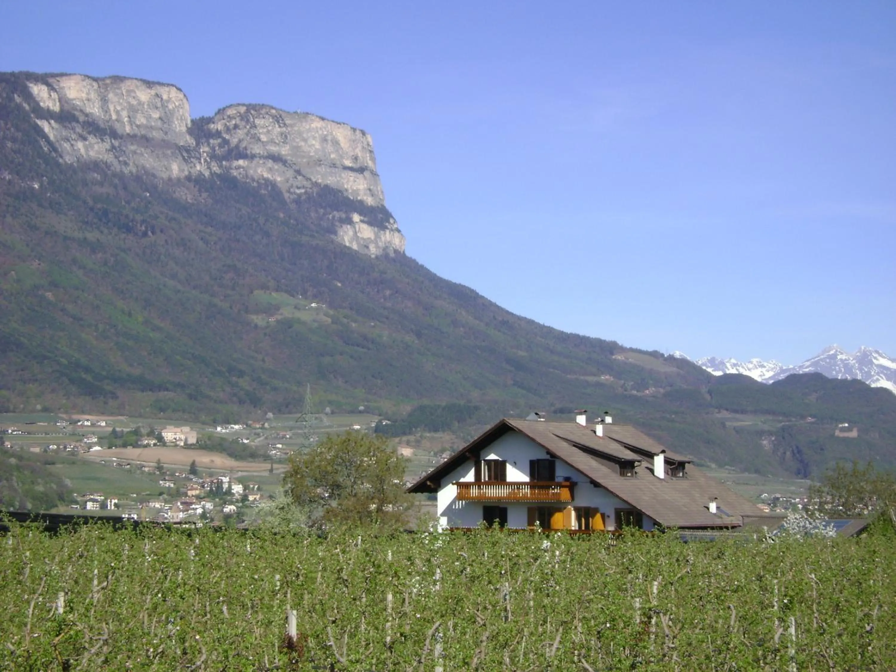Property building in Appartements Weisshauserhof