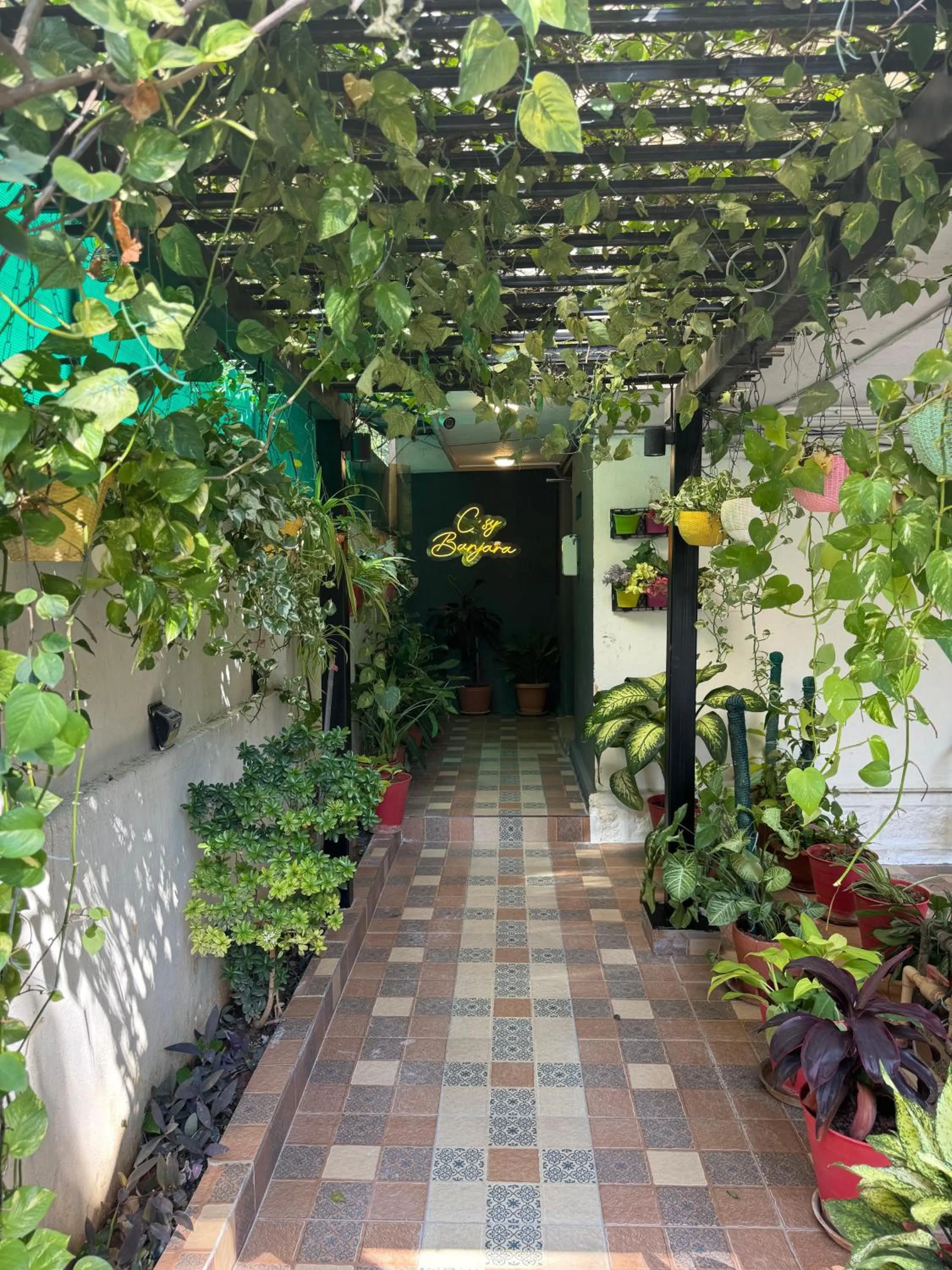 Cosy Banjara Guest House