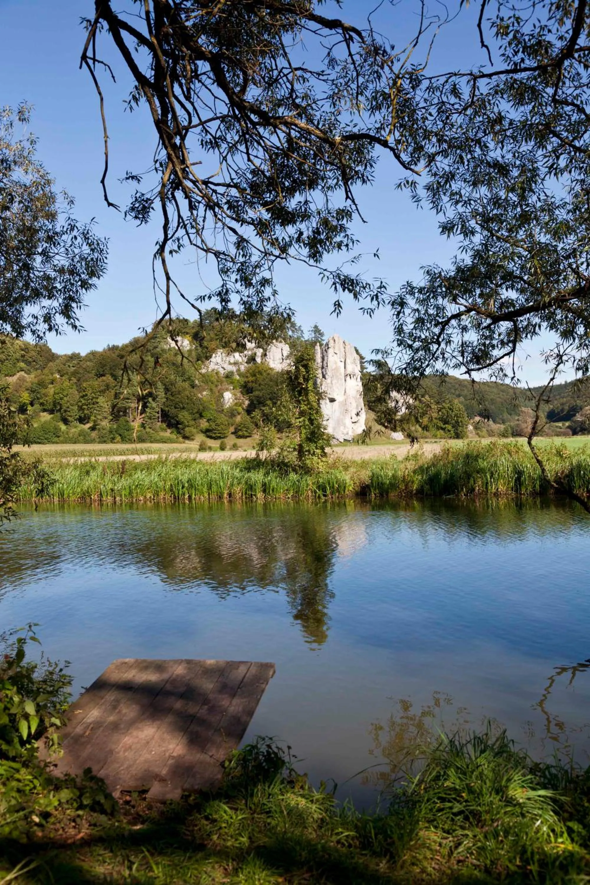 Natural landscape in Hotel-Gasthof zur Sonne