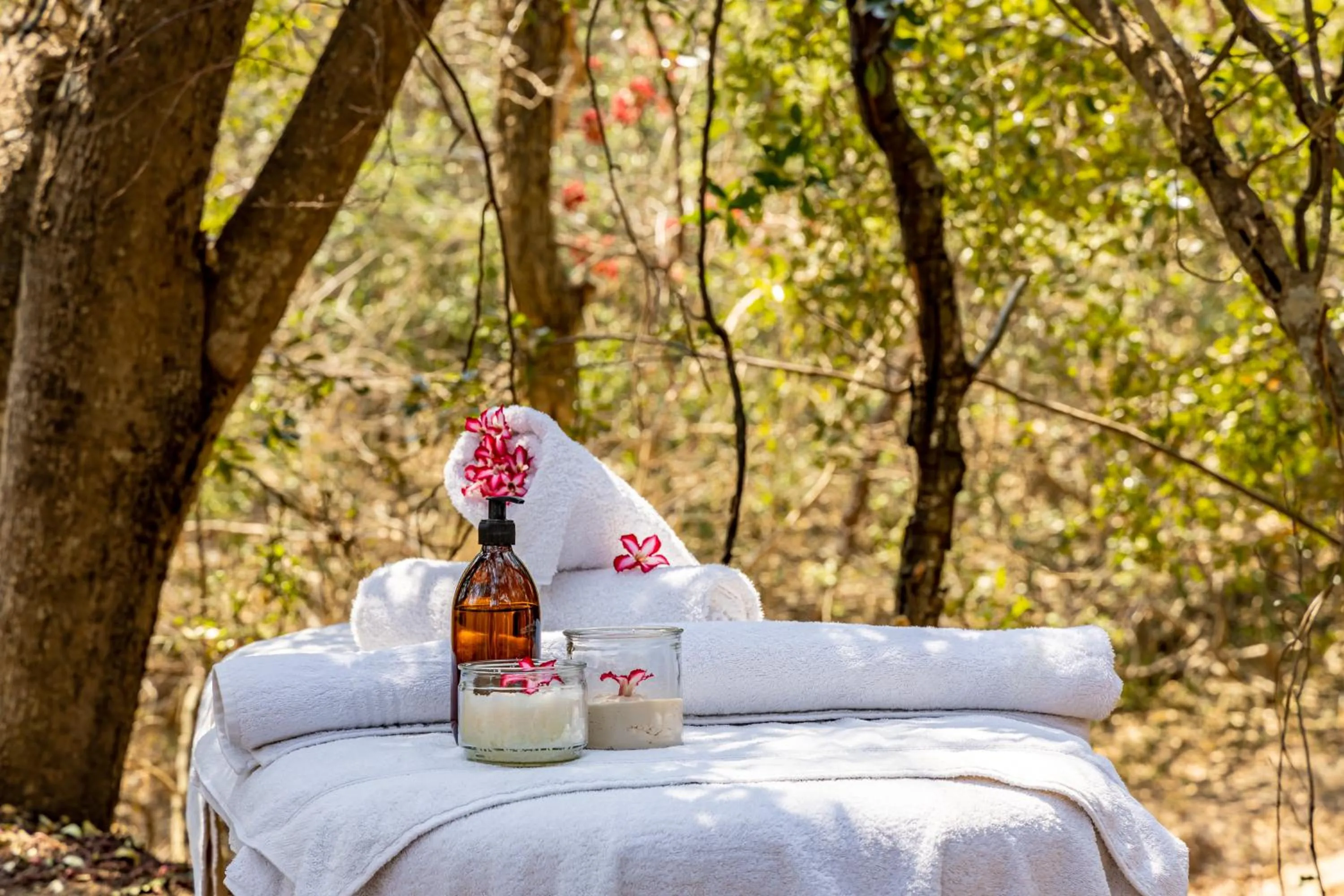 Spa and wellness centre/facilities in Kusudalweni Safari Lodge and Spa