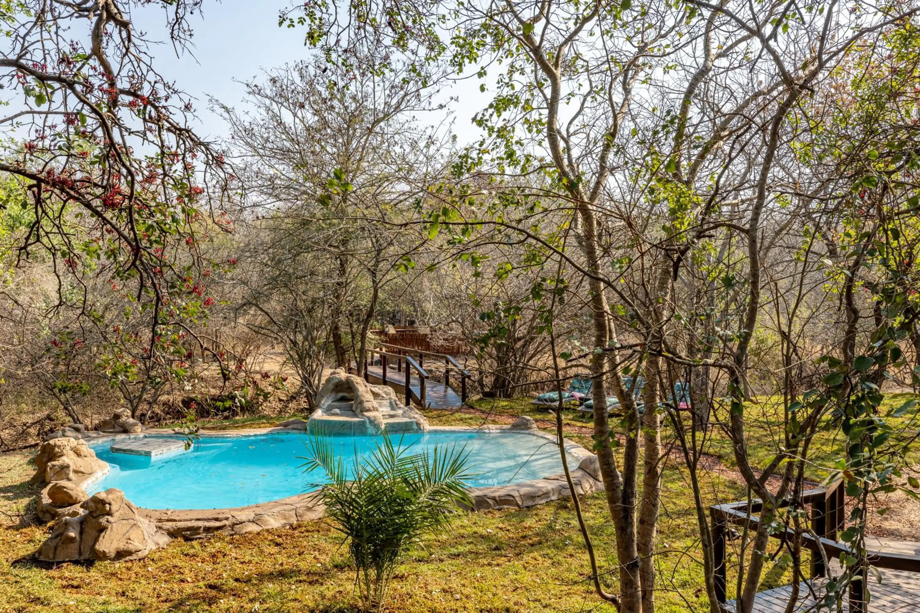 Swimming pool in Kusudalweni Safari Lodge and Spa