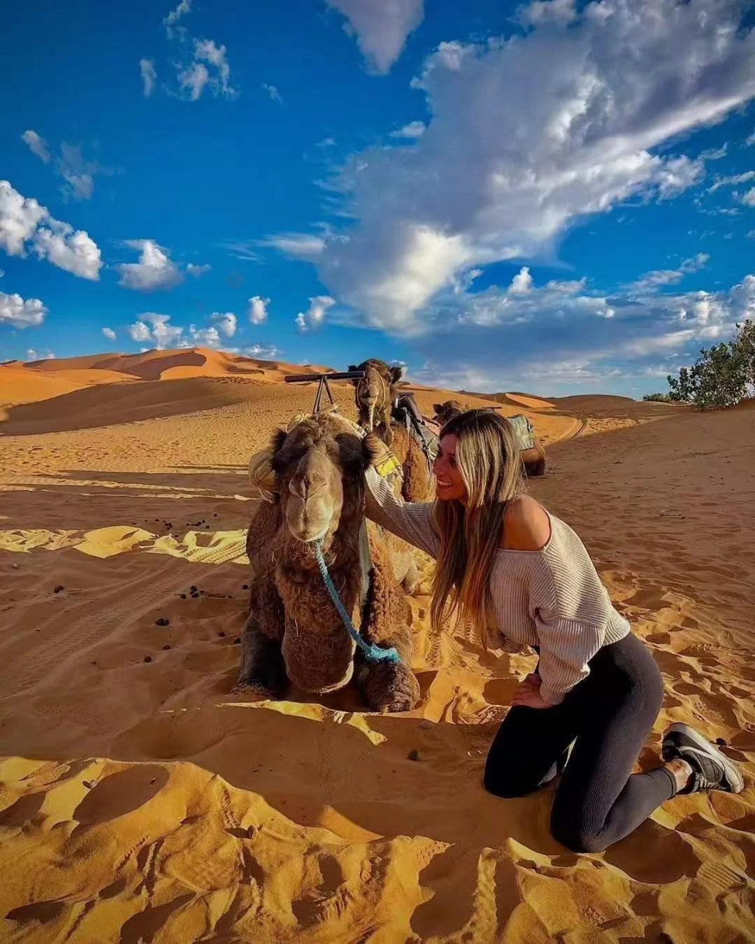 Merzouga Luxury Camp