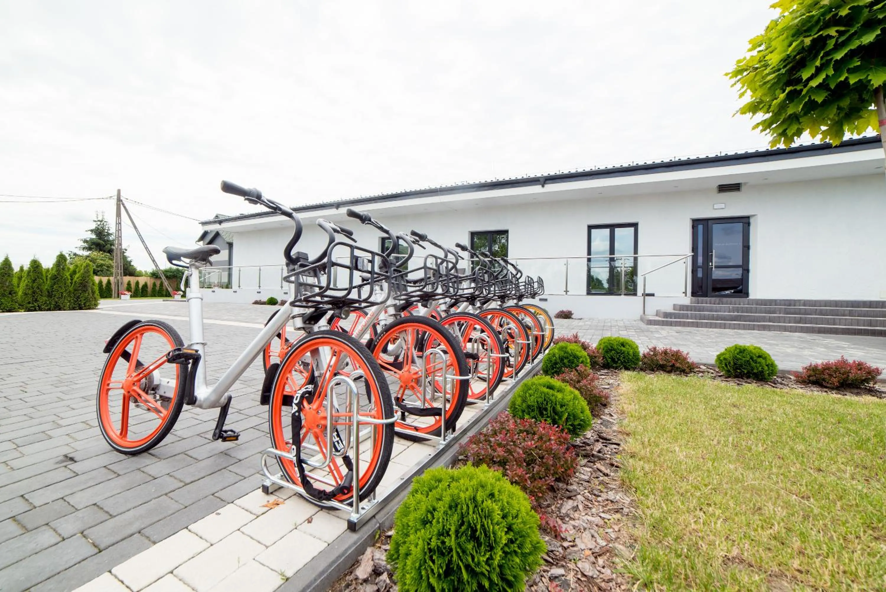 Garden in Zajazd Avangarda