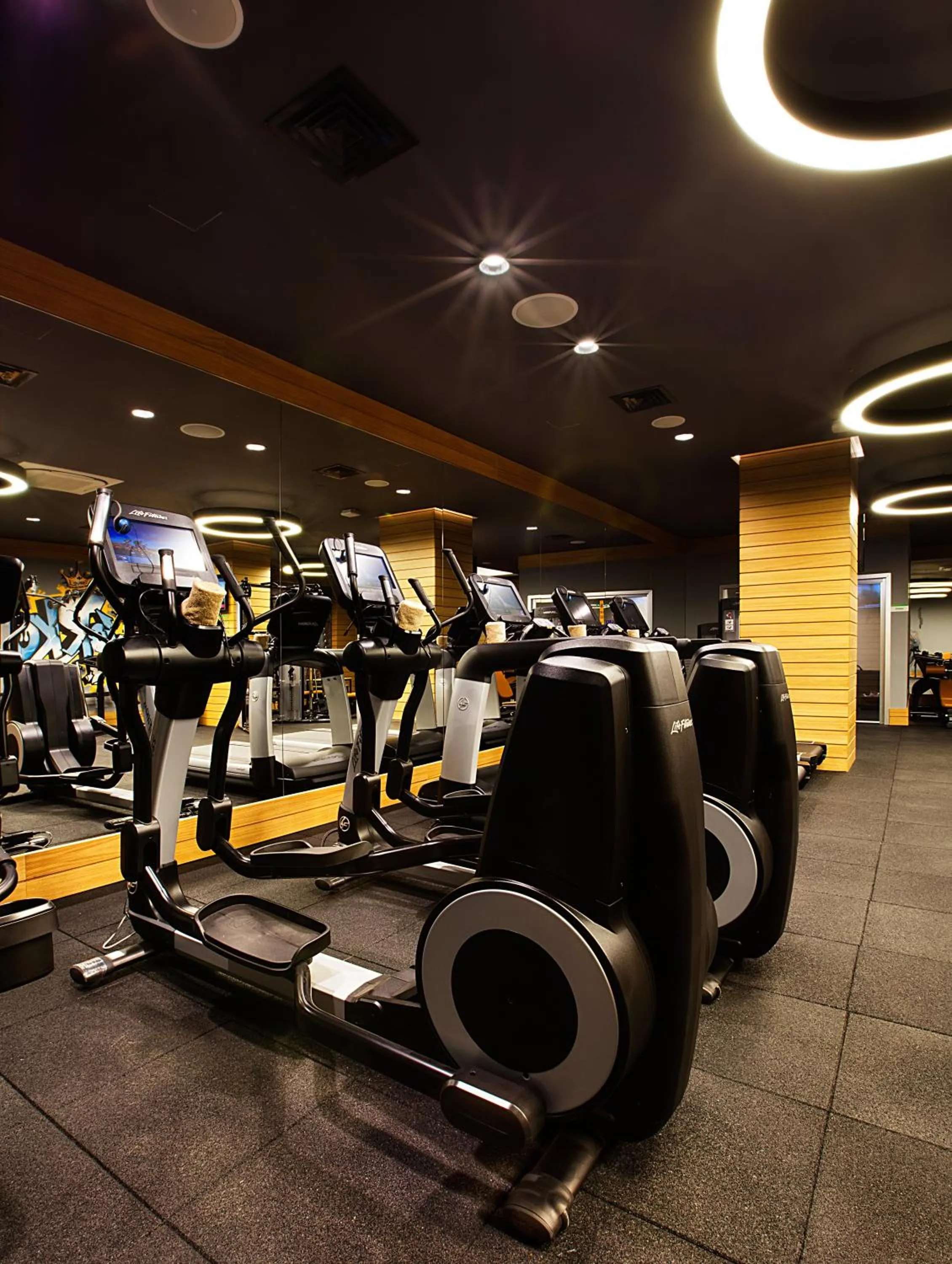 Fitness centre/facilities in Holiday Inn Istanbul - Kadikoy by IHG
