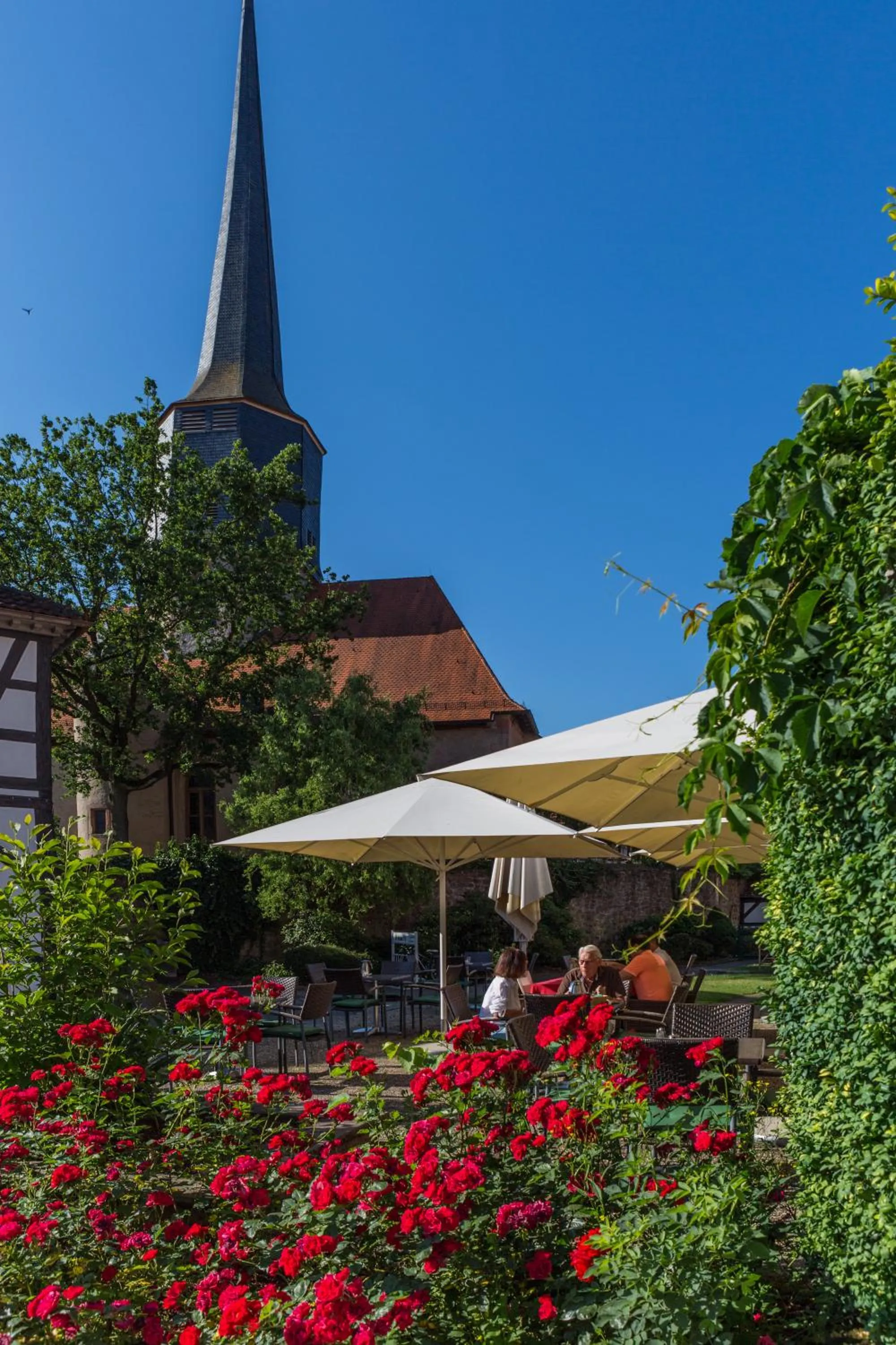 Restaurant/places to eat in Hotel Vorderburg