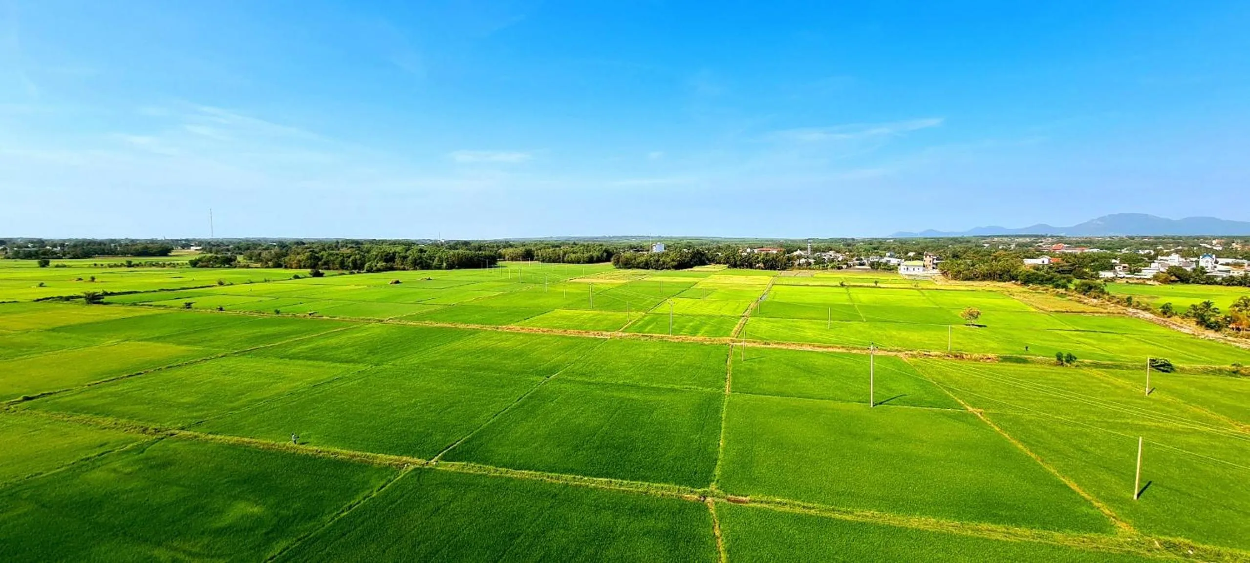 Day in Nhat Minh Hotel