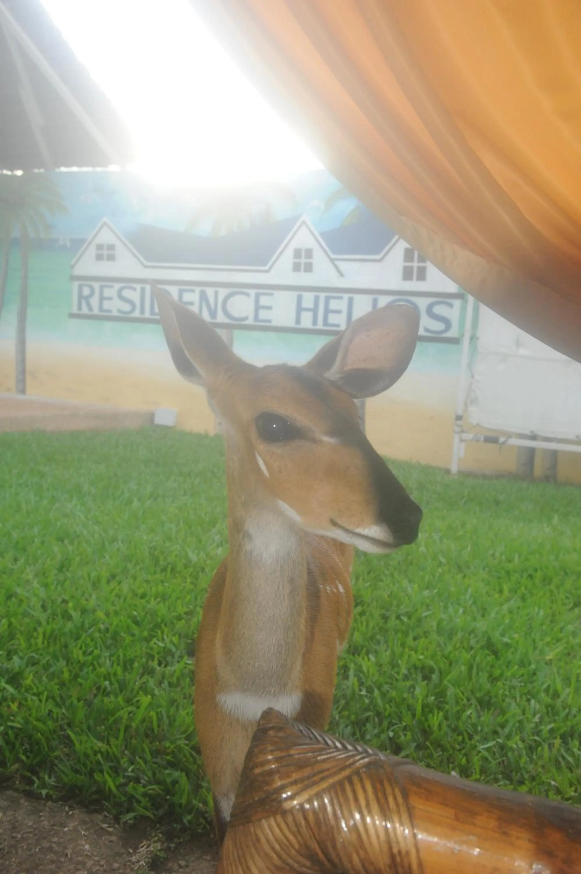 Day in Residence Helios