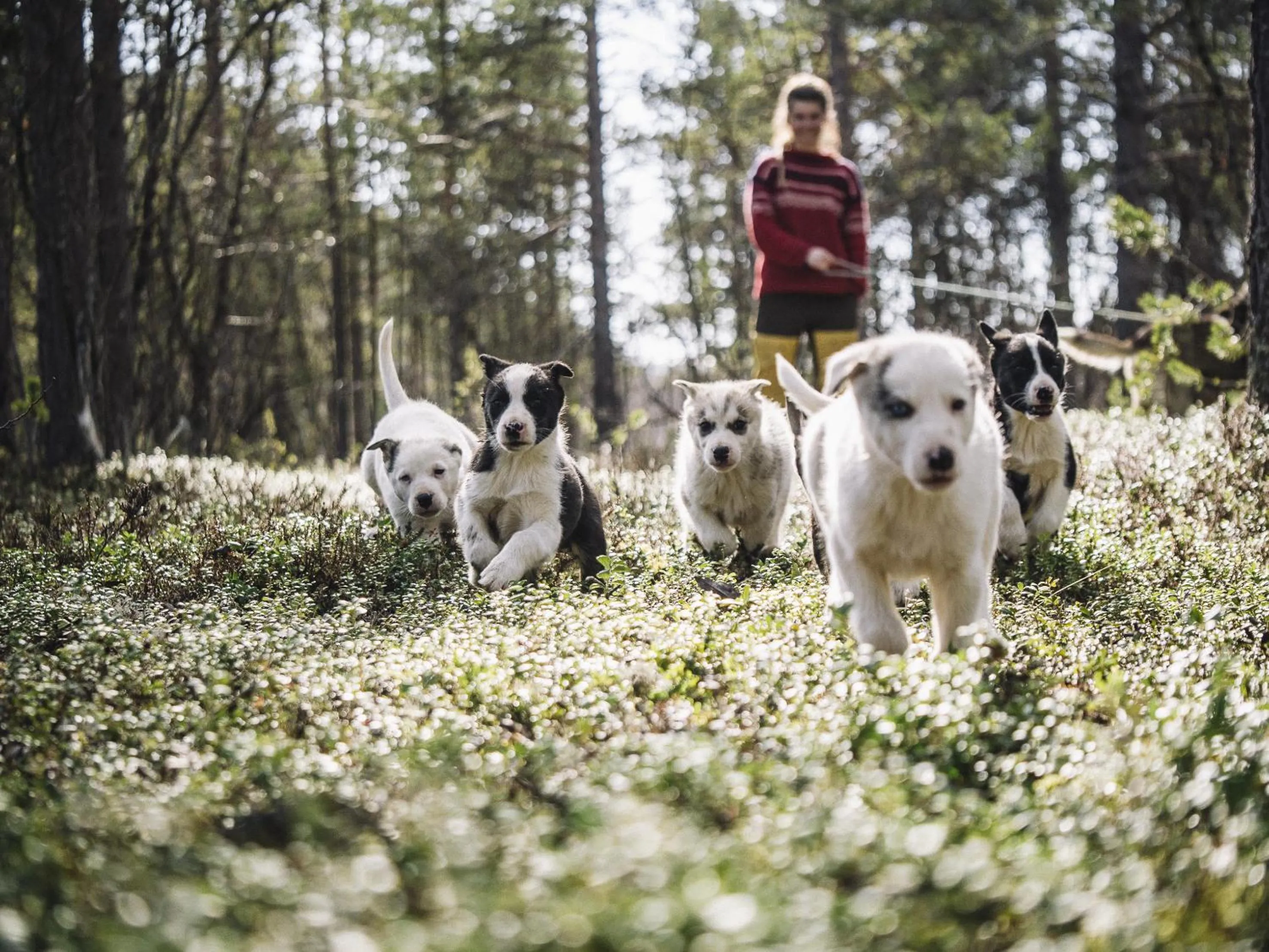 Staff in Trasti & Trine Boutique Hotel