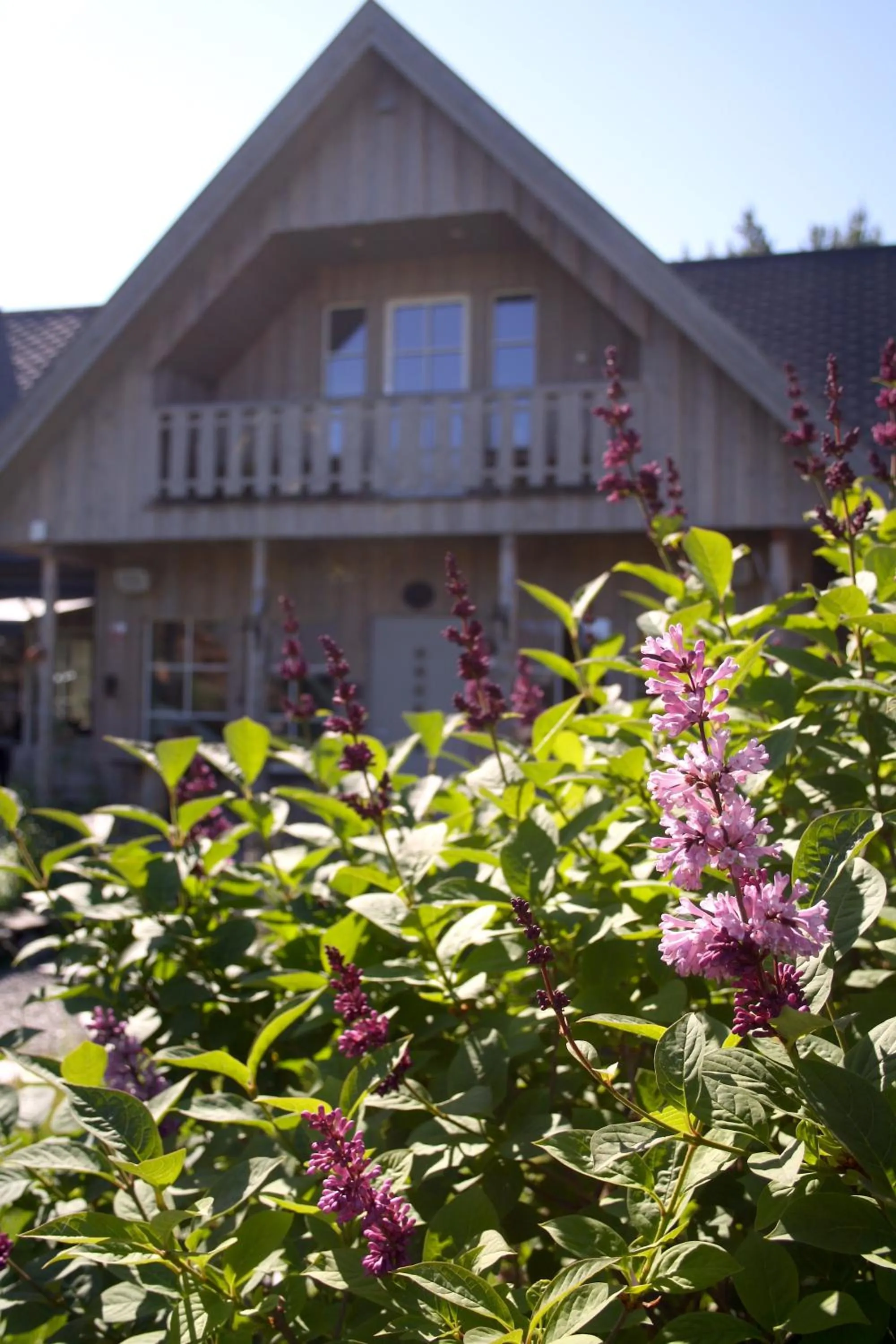 Property building in Trasti & Trine Boutique Hotel