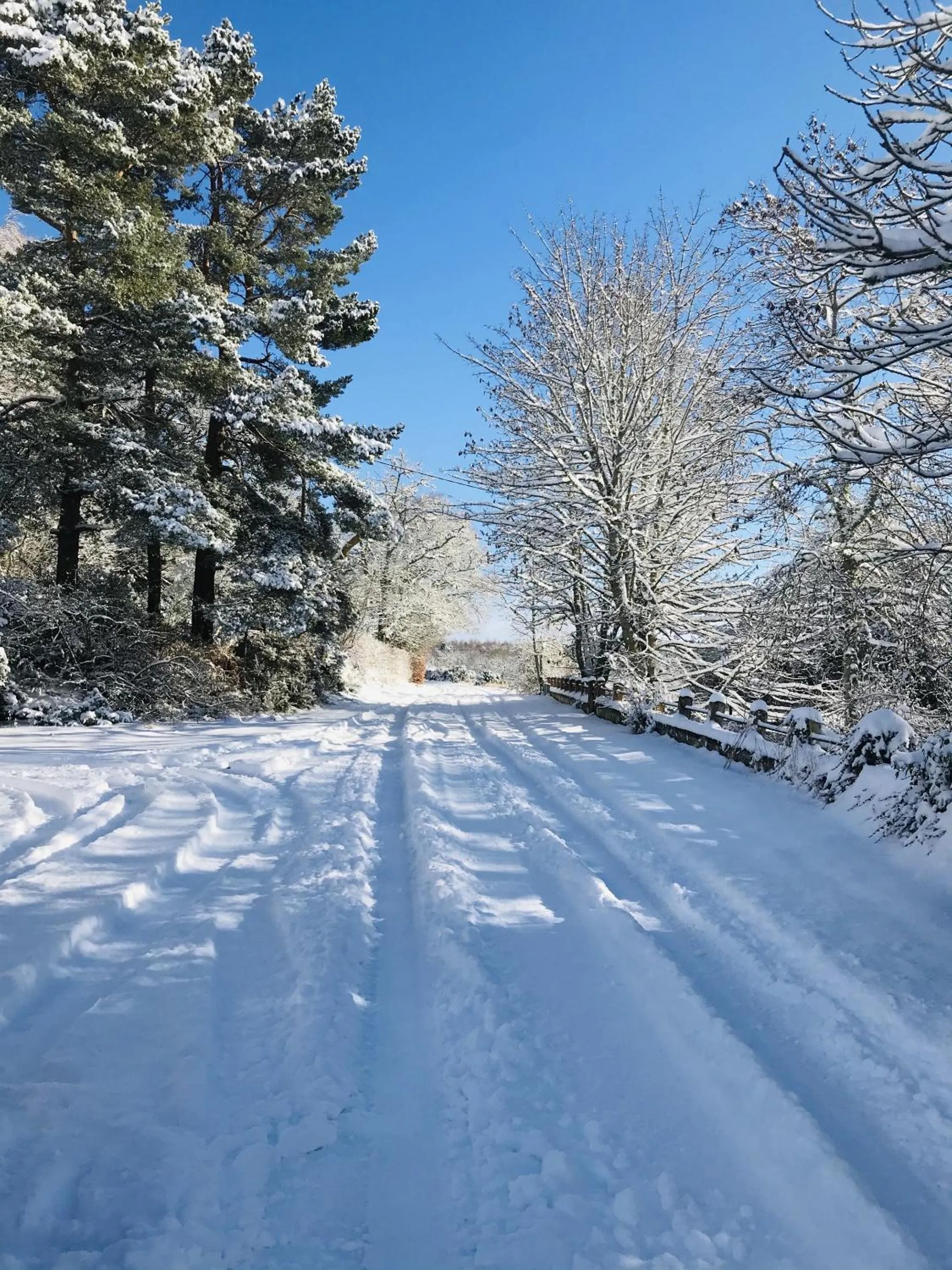 Other in The Shandwick Inn