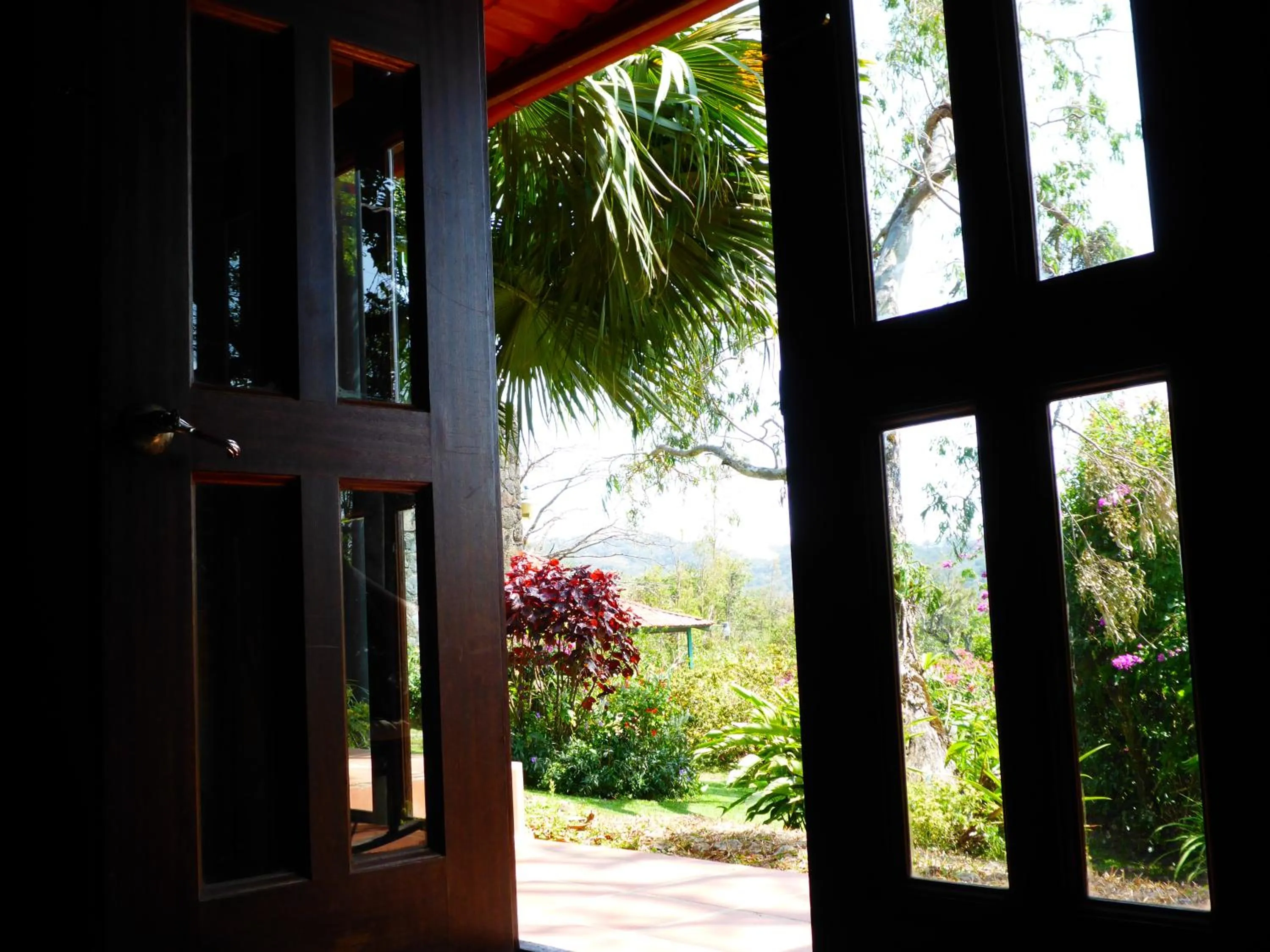 Garden in The Golden Frog Inn