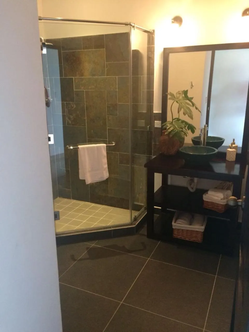 Shower in The Golden Frog Inn