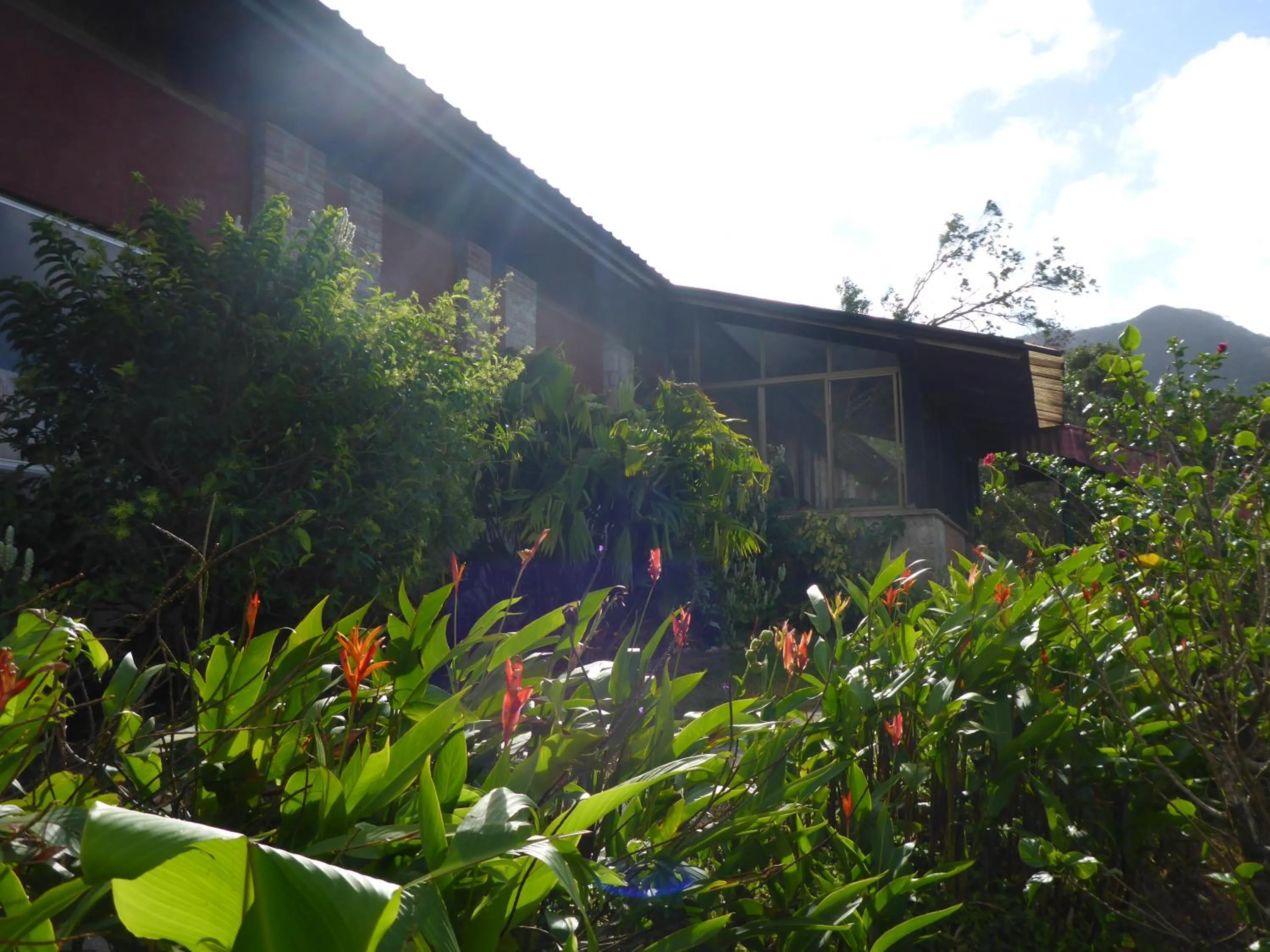 Facade/entrance in The Golden Frog Inn