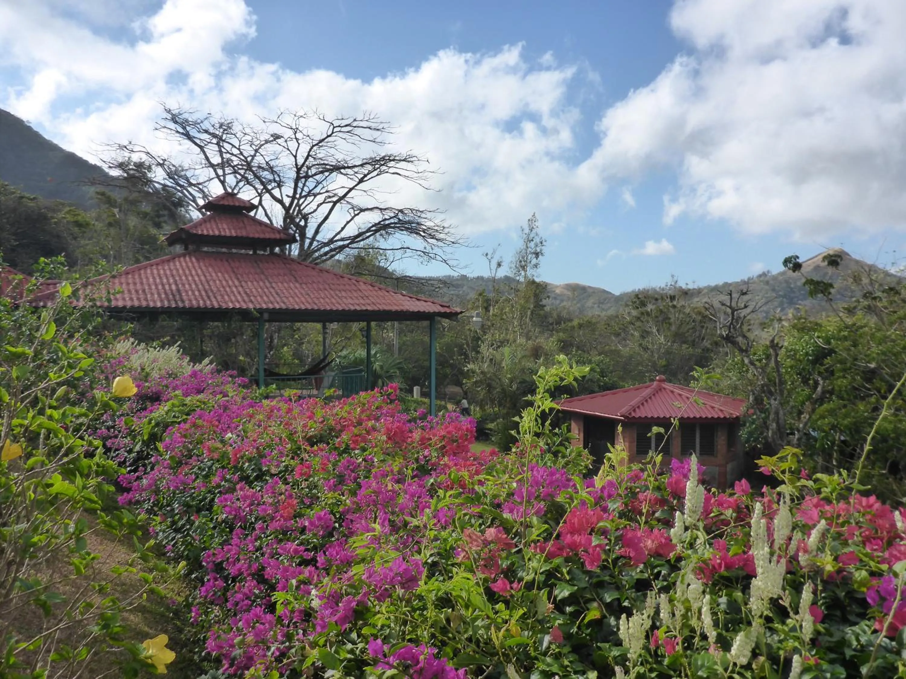 Facade/entrance in The Golden Frog Inn