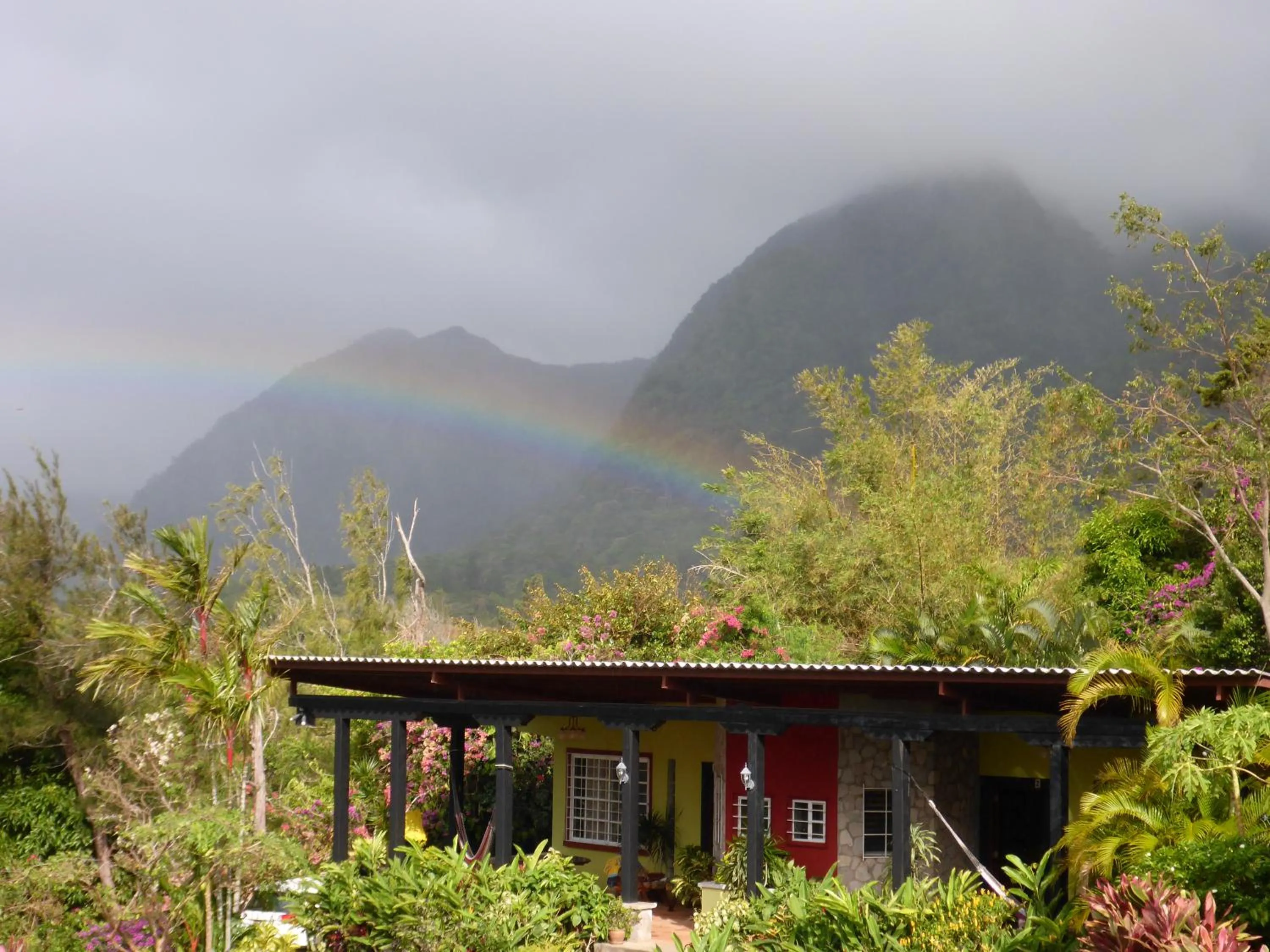 Garden in The Golden Frog Inn