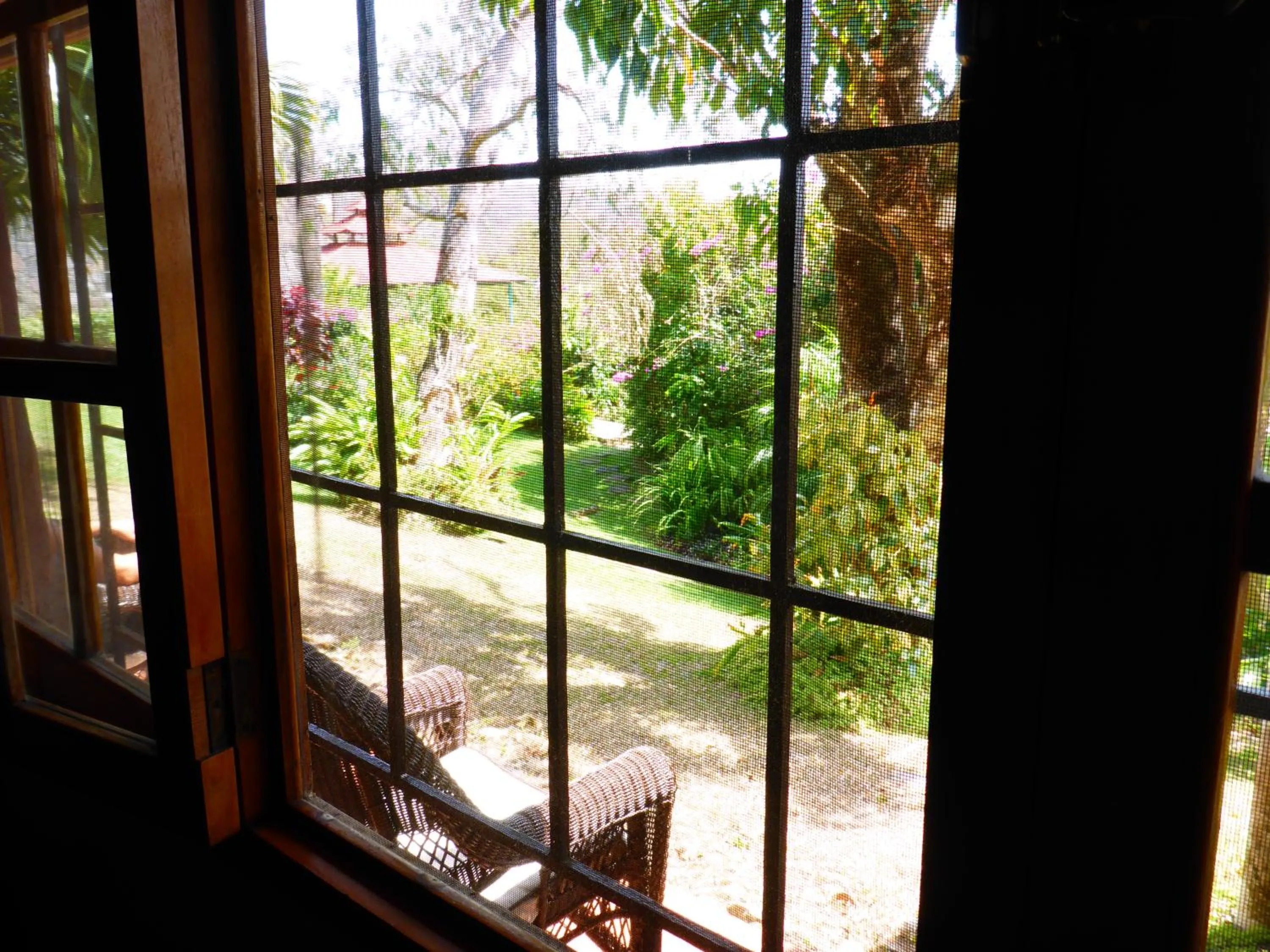 Garden in The Golden Frog Inn