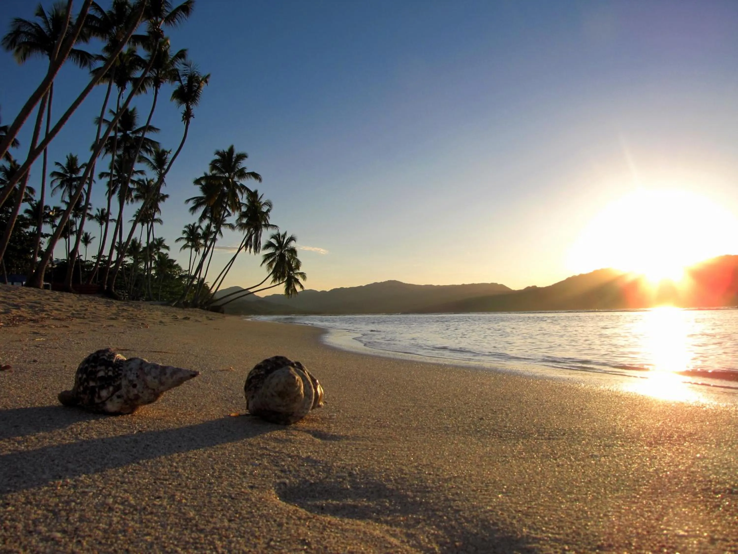 Beach in El Pelicano Apart-Hotel