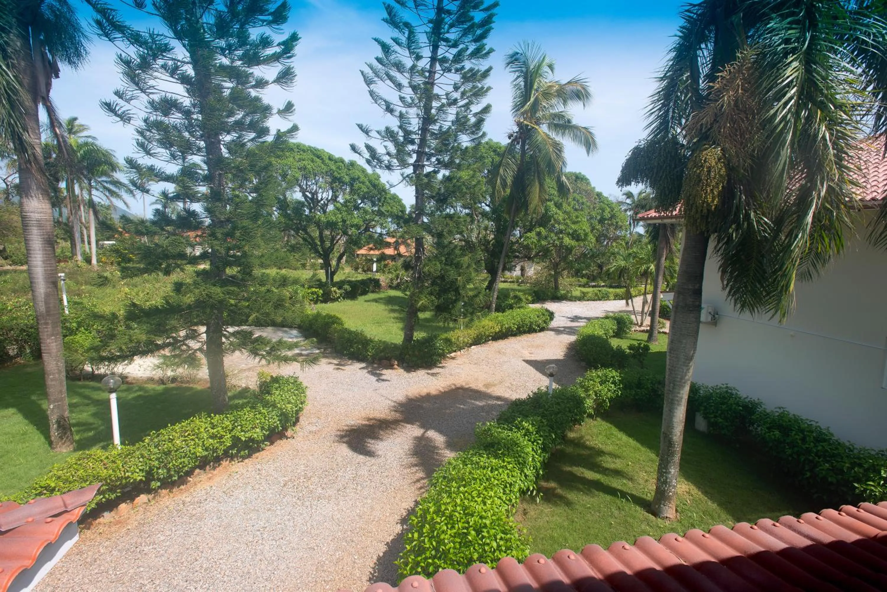 Garden view in El Pelicano Apart-Hotel