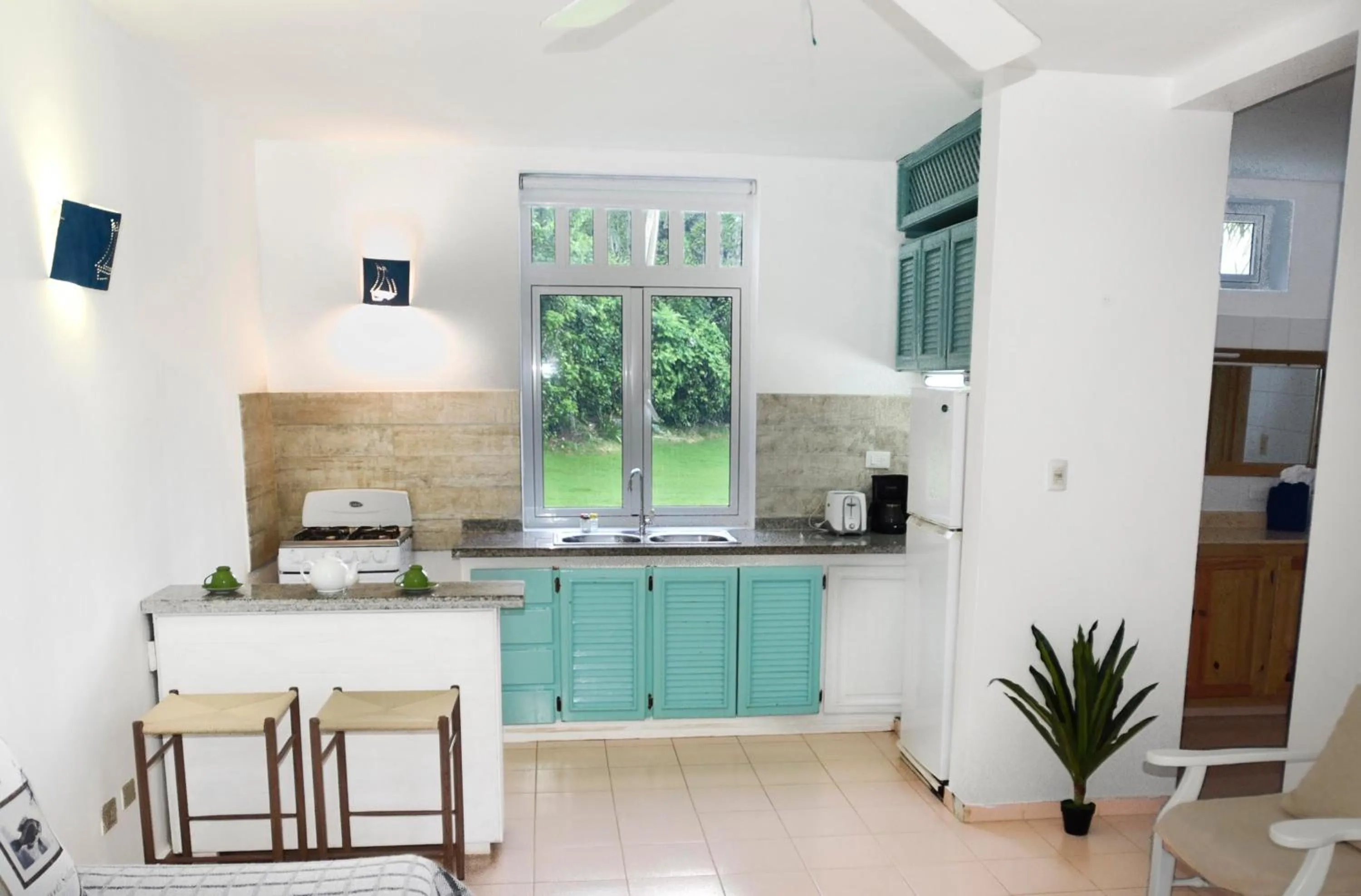 Kitchen or kitchenette in El Pelicano Apart-Hotel