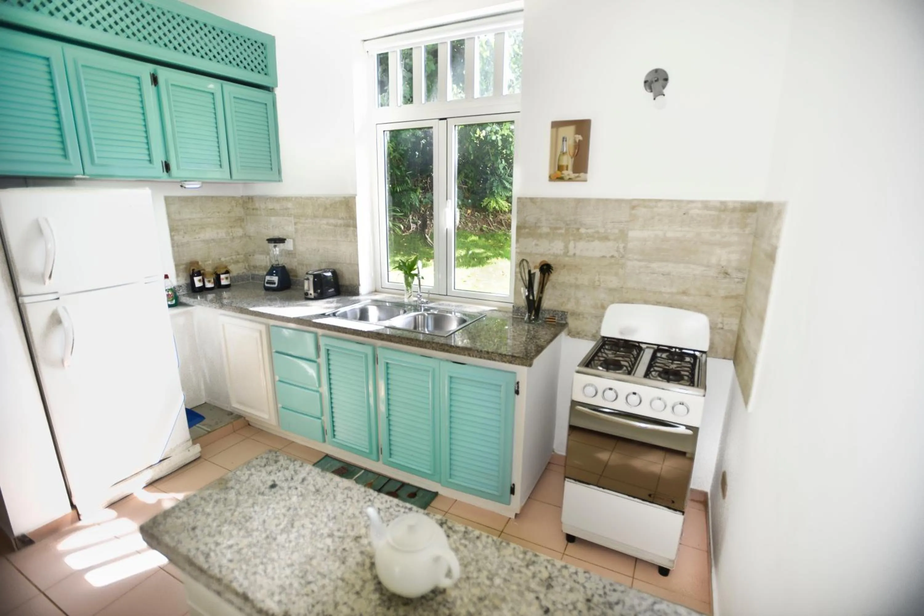 kitchen in El Pelicano Apart-Hotel