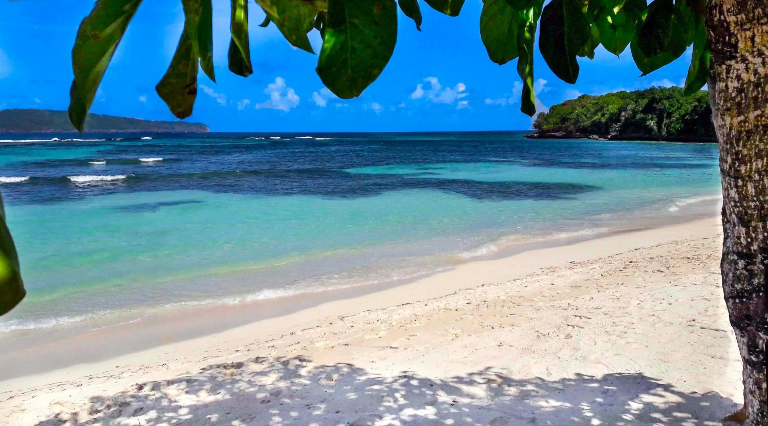 Beach in El Pelicano Apart-Hotel