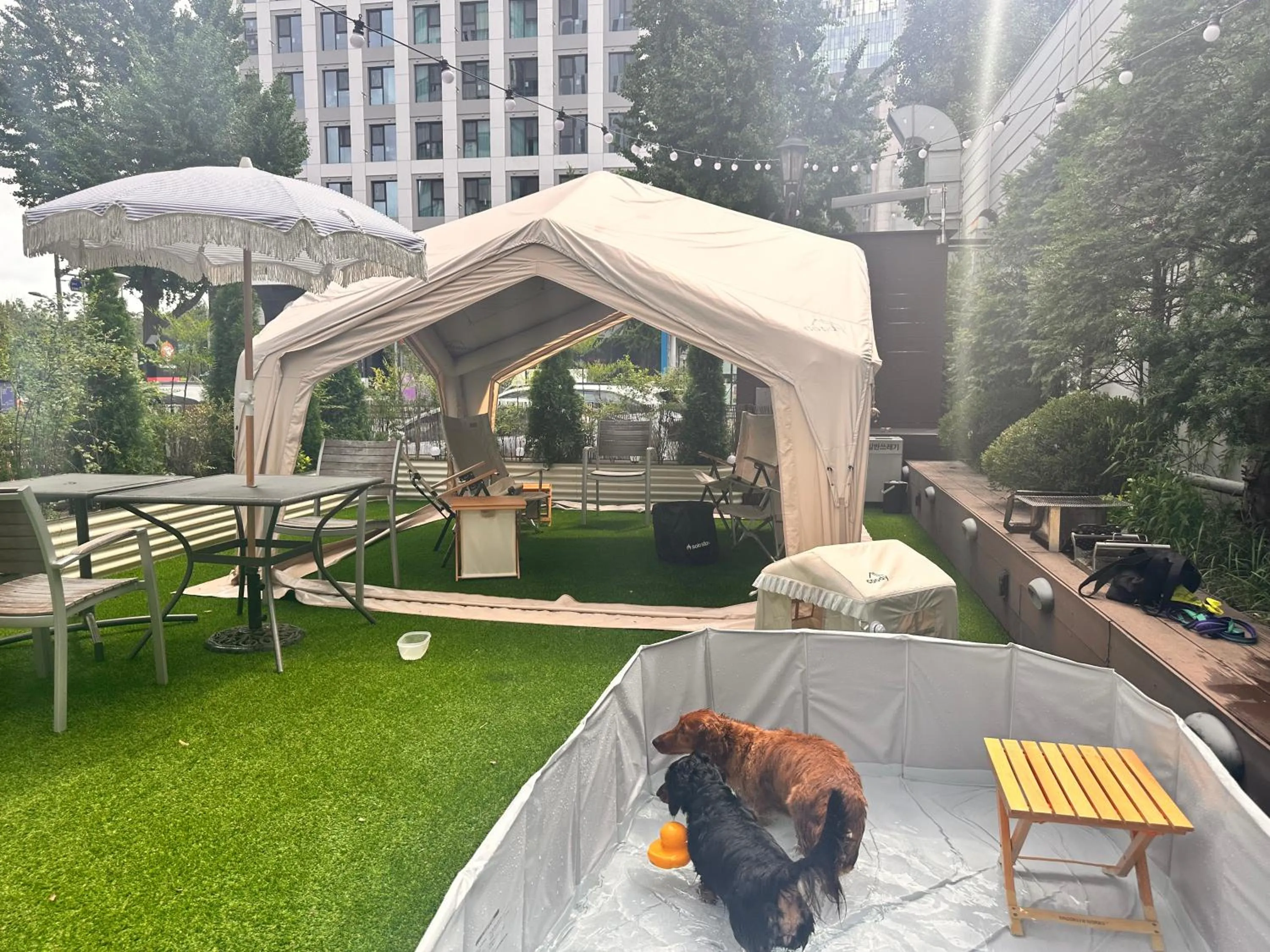 young children in Acube Hotel Dongdaemun