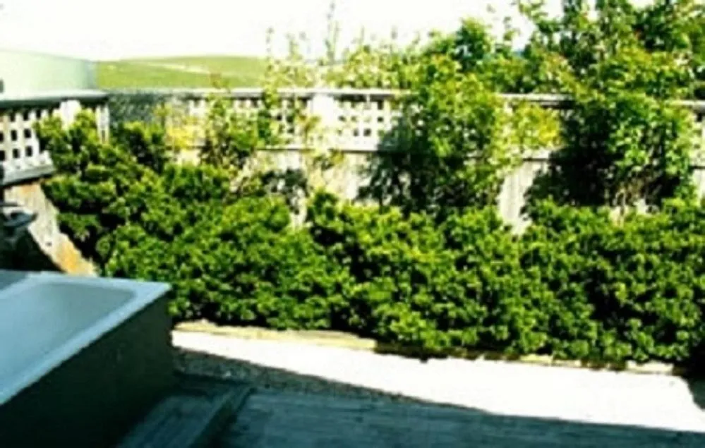 Noah's Boutique Accommodation Moeraki