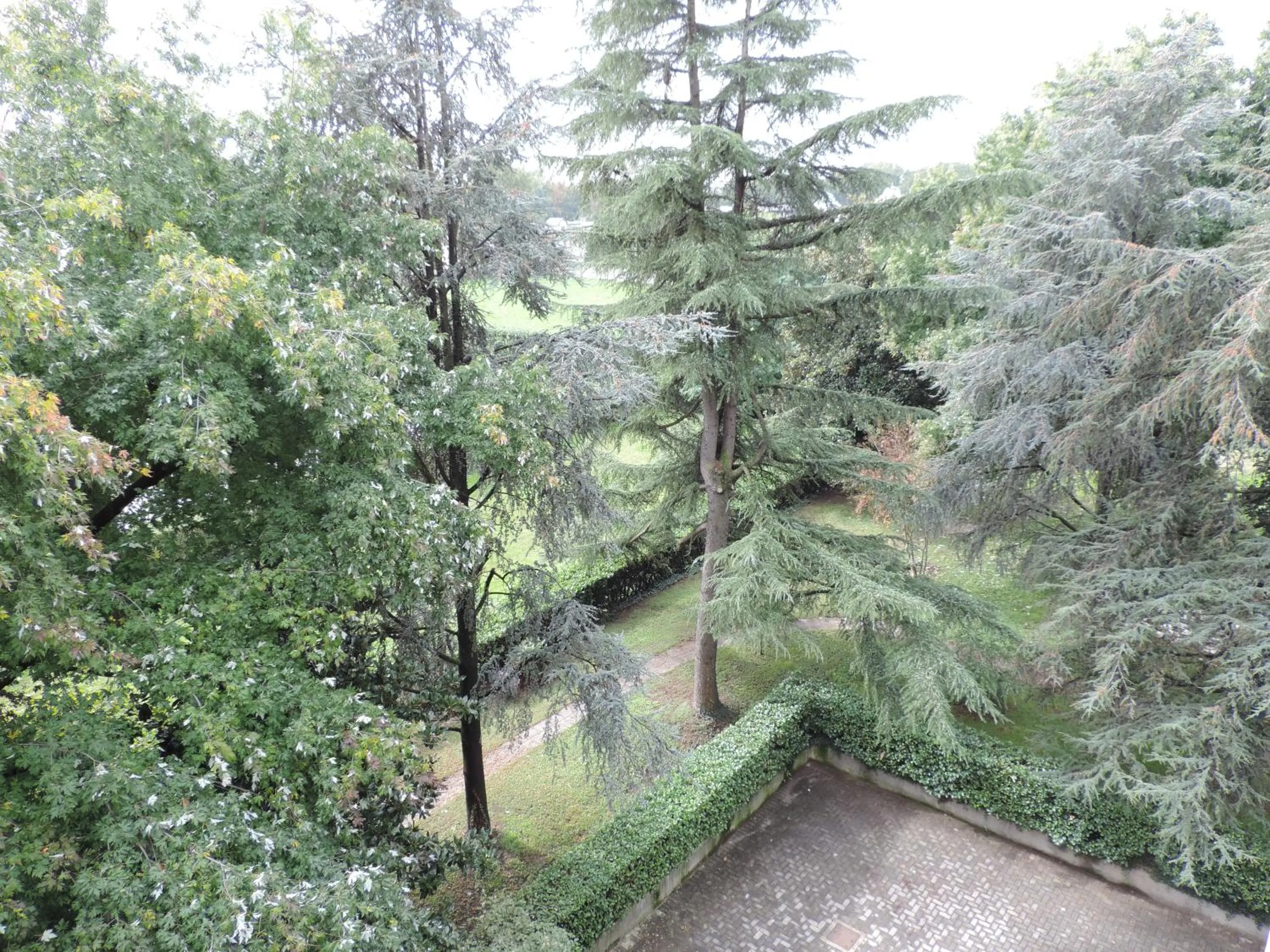 Natural landscape in Hotel Gama