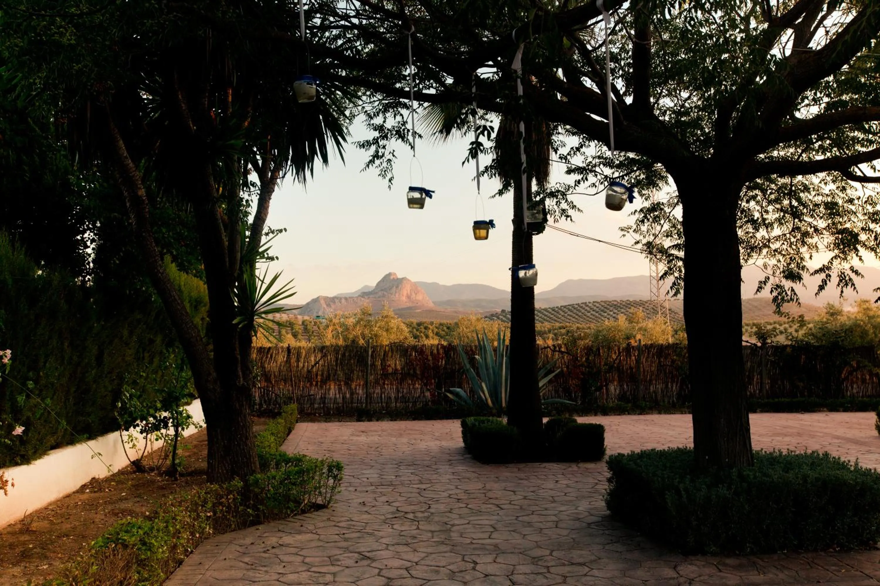 Garden in Cortijo Carrillo