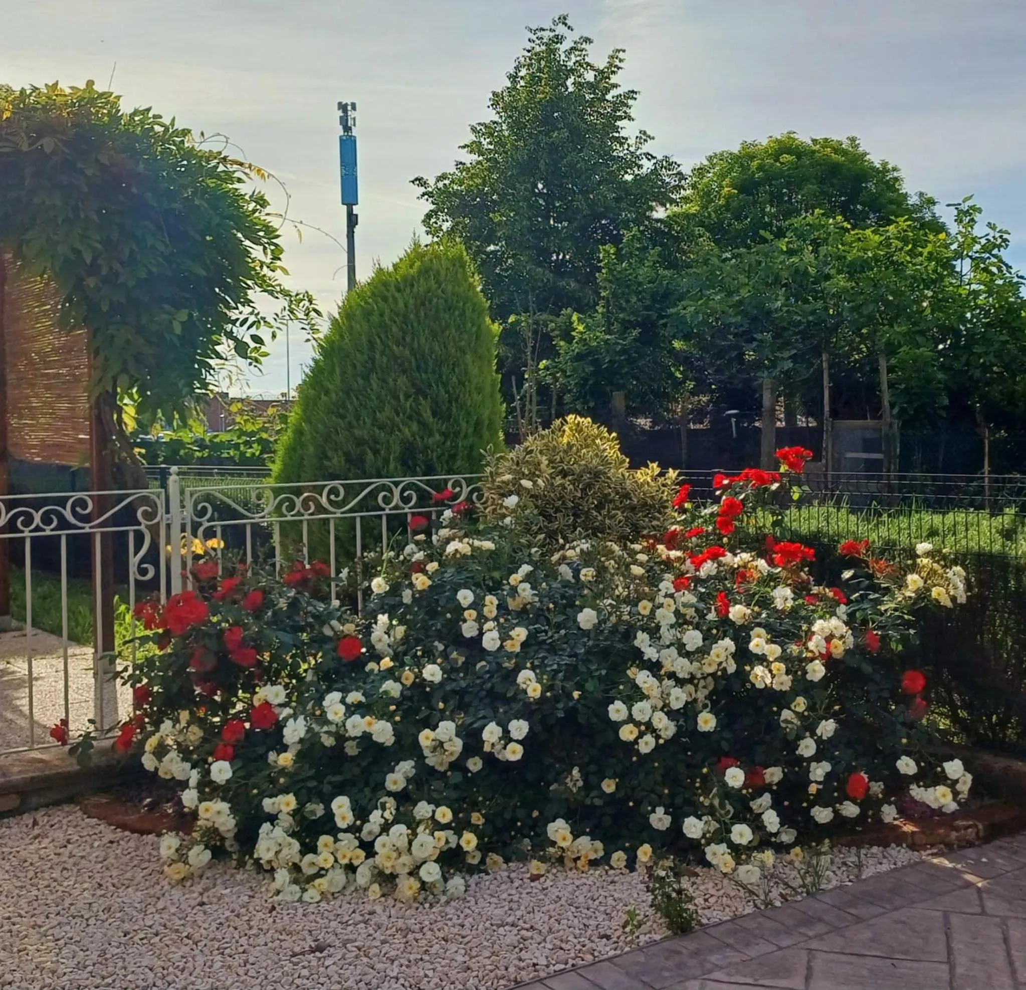 Spring in B&B Al sogno di Laura