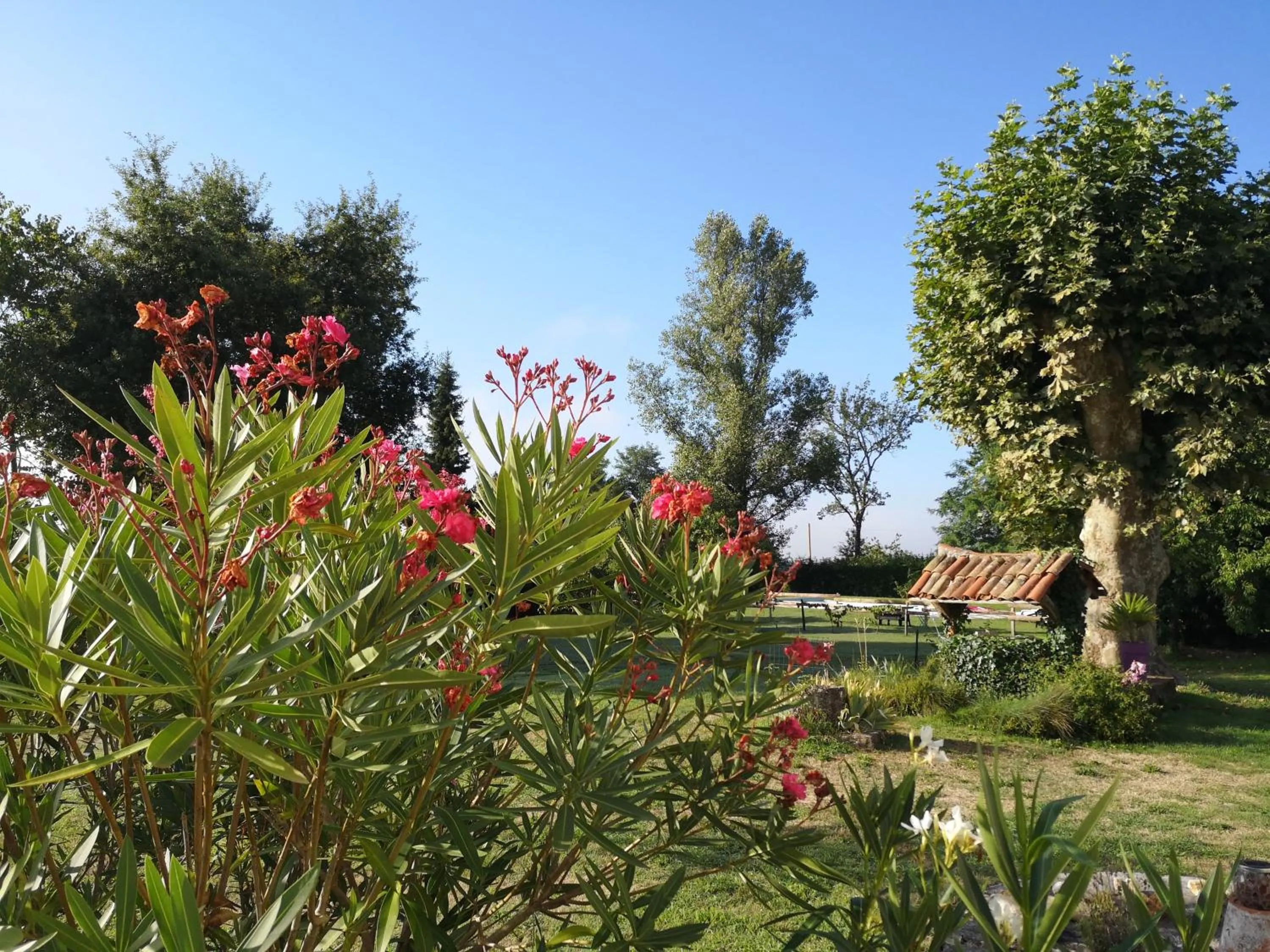 View (from property/room) in Domaine Hias