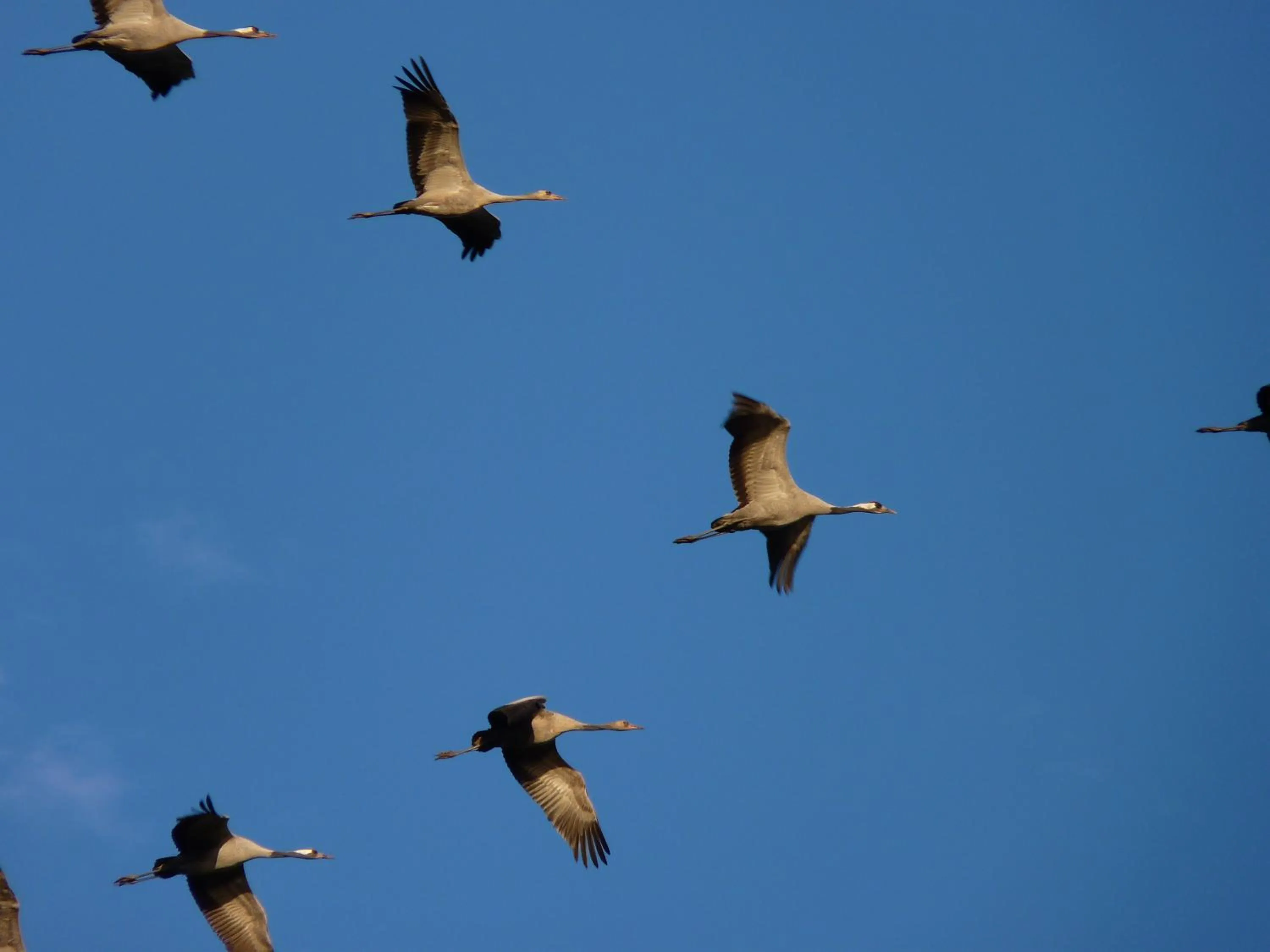 Spring in Domaine Hias