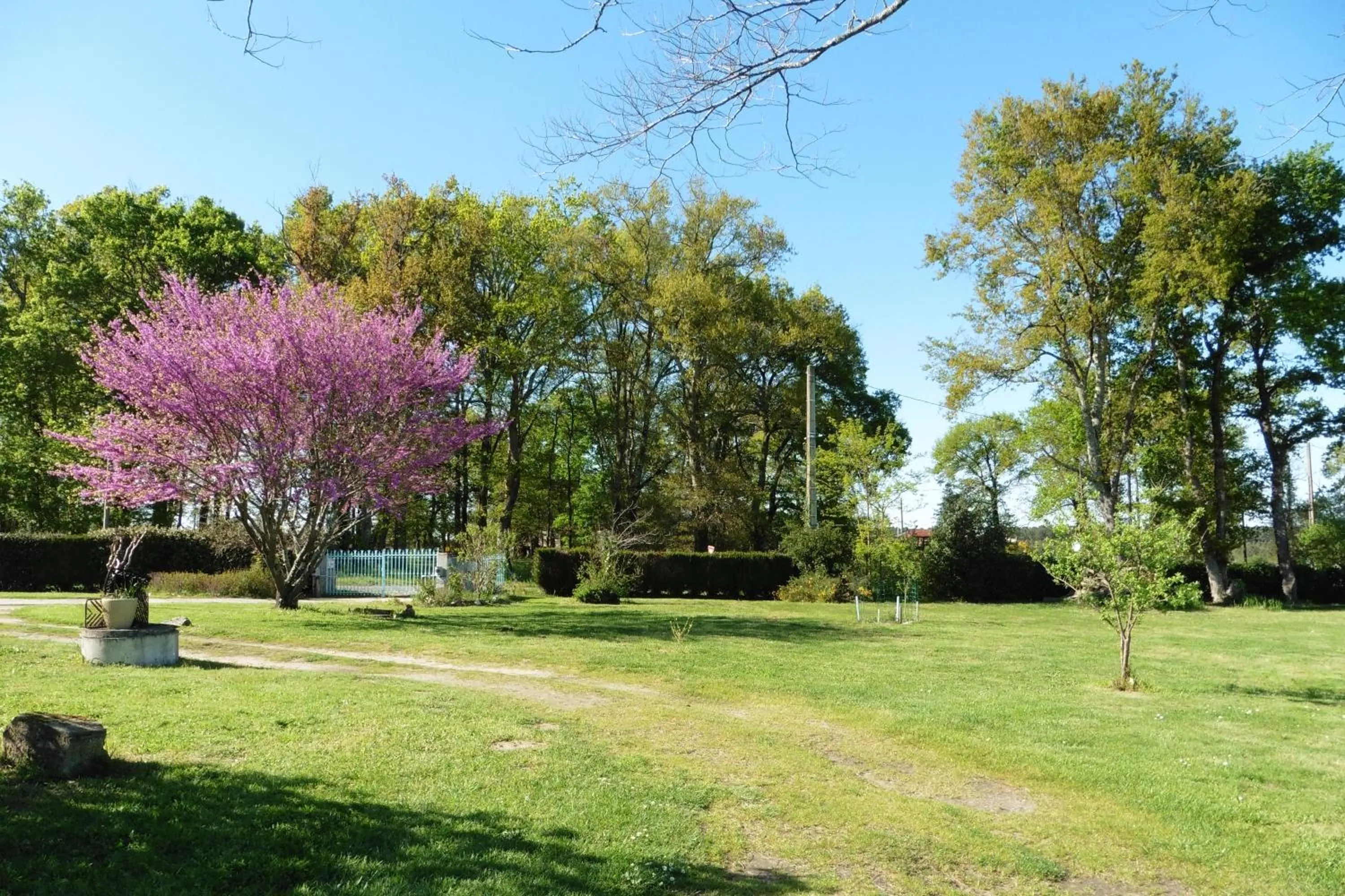 Staff in Domaine Hias