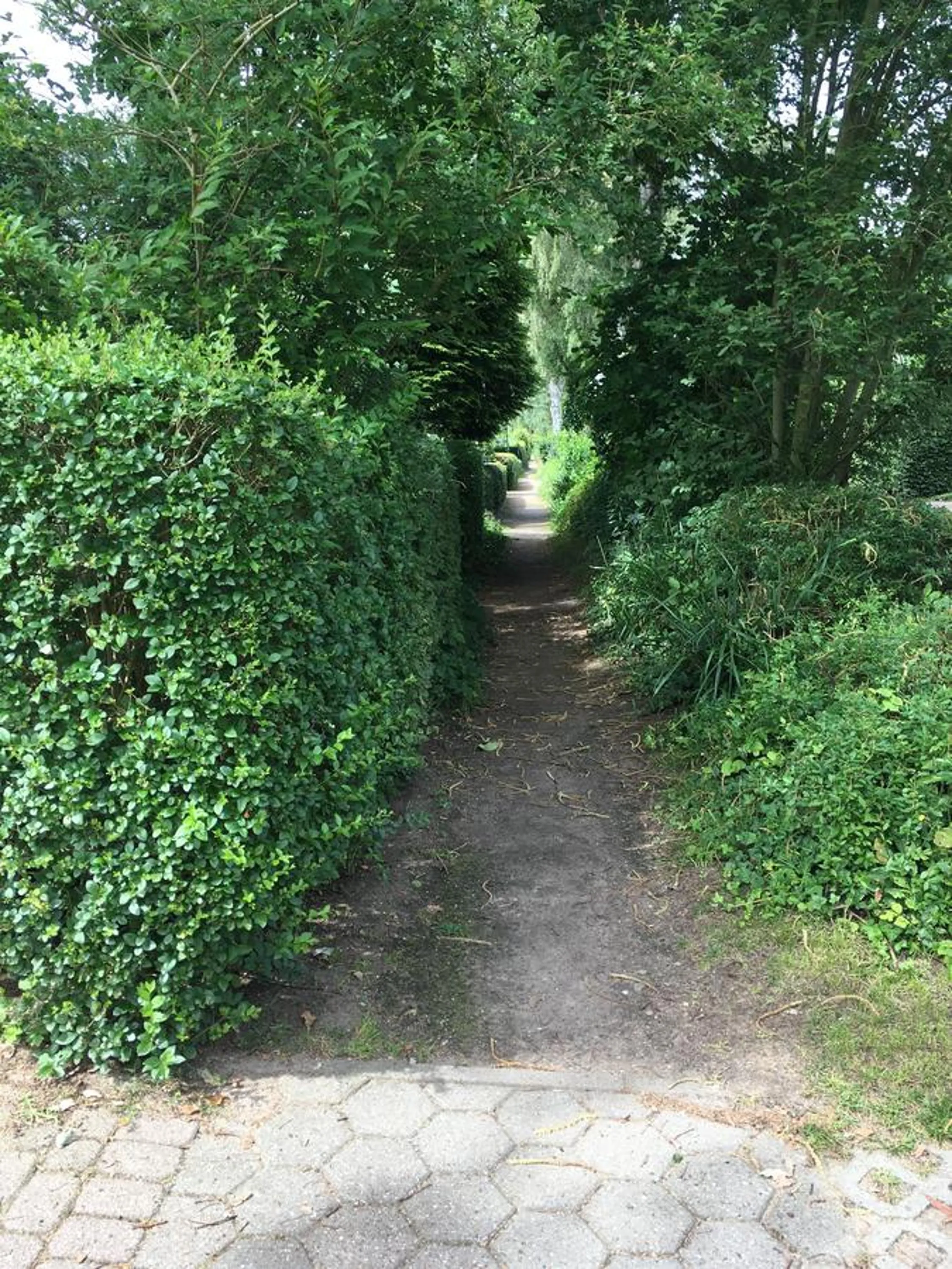 Neighbourhood in Bed & Breakfast Bigalke