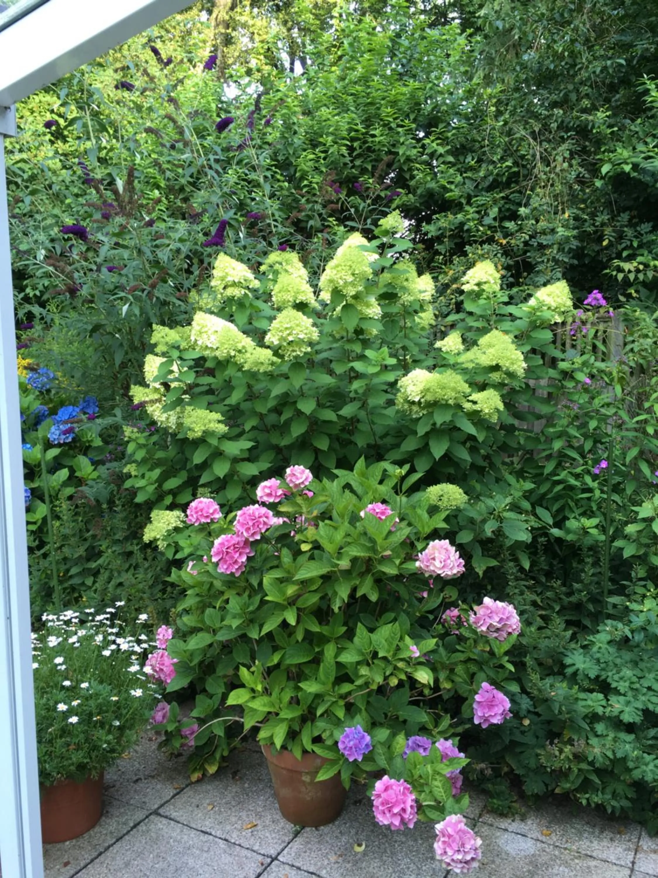 Garden in Bed & Breakfast Bigalke