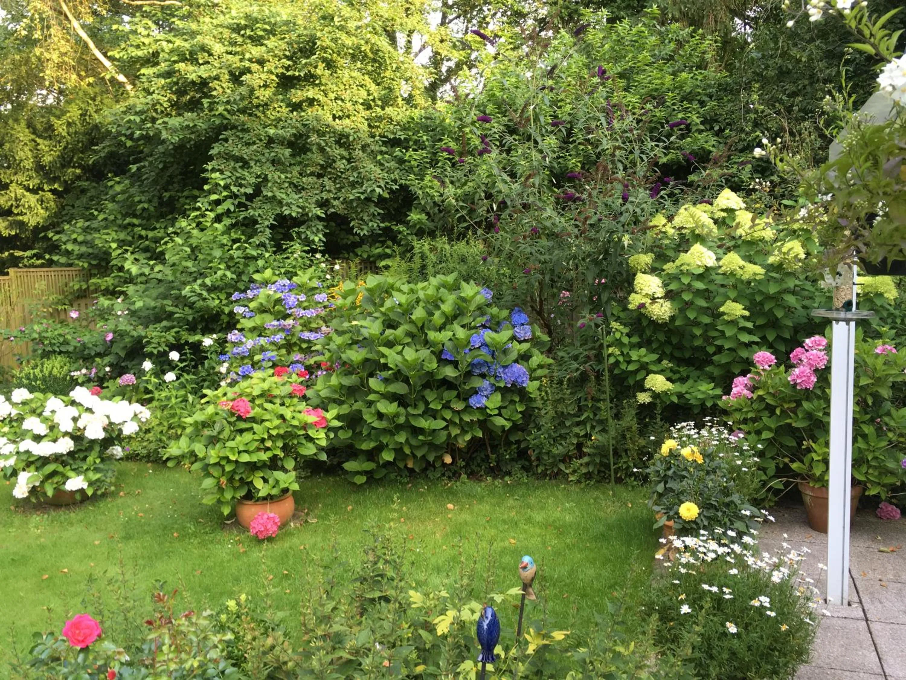 Garden in Bed & Breakfast Bigalke