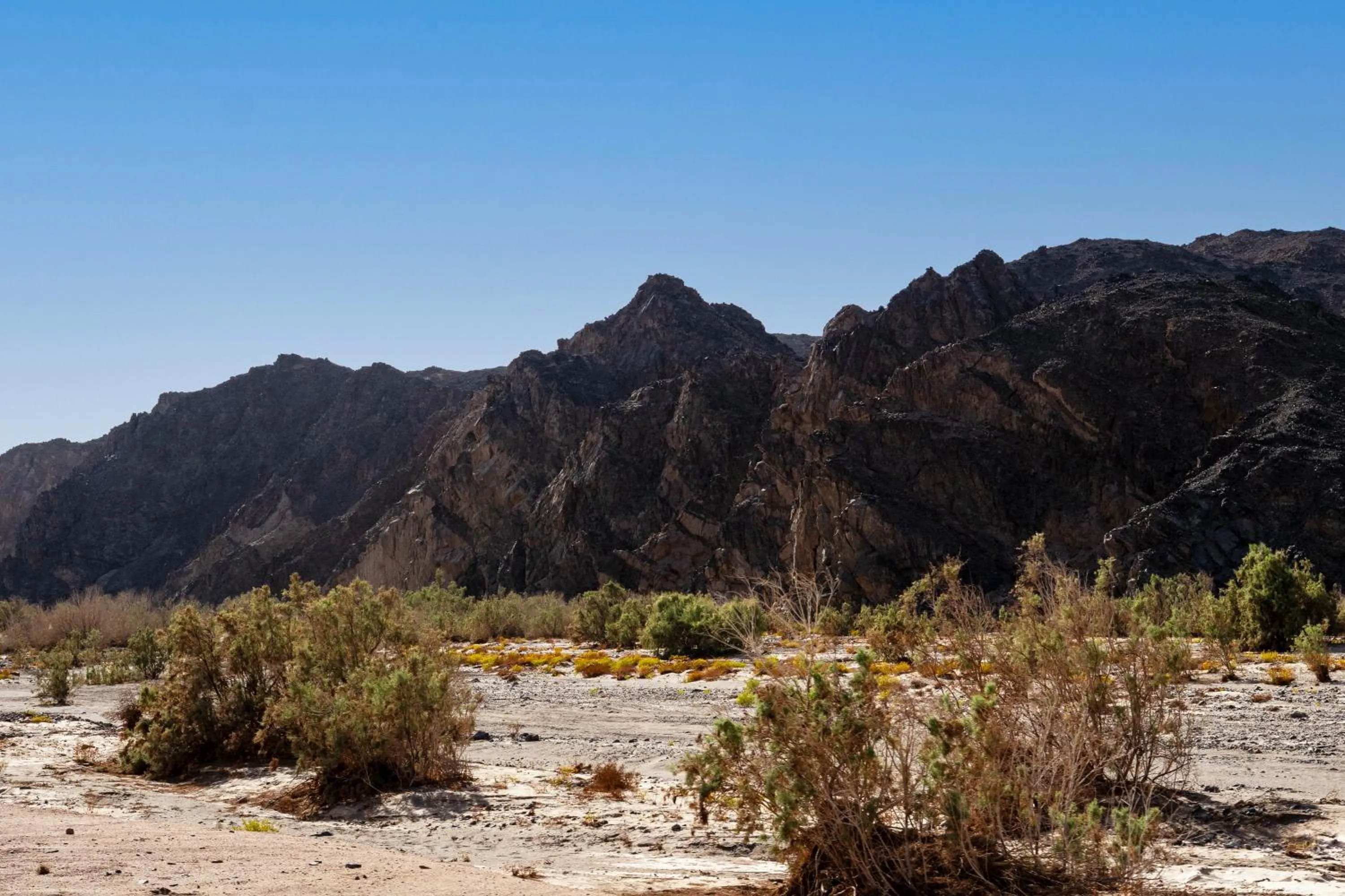 Activities in Marsa Shagra Village