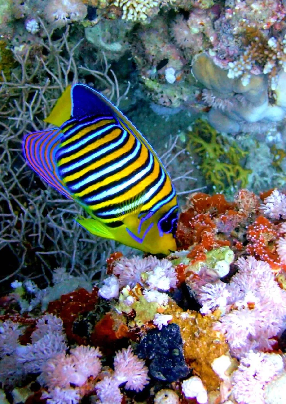 Activities in Marsa Shagra Village