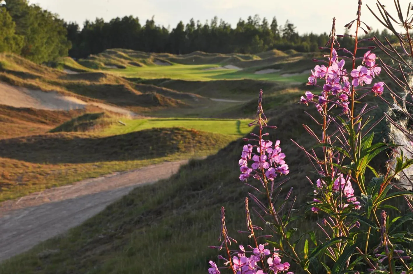Natural landscape in Sand Golf Club