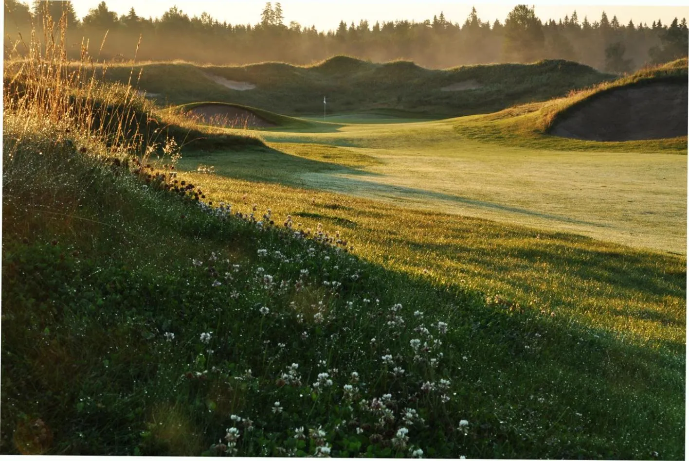 Natural landscape in Sand Golf Club