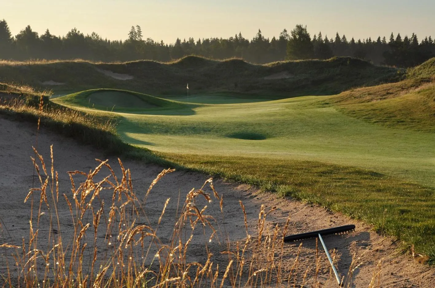 Natural landscape in Sand Golf Club