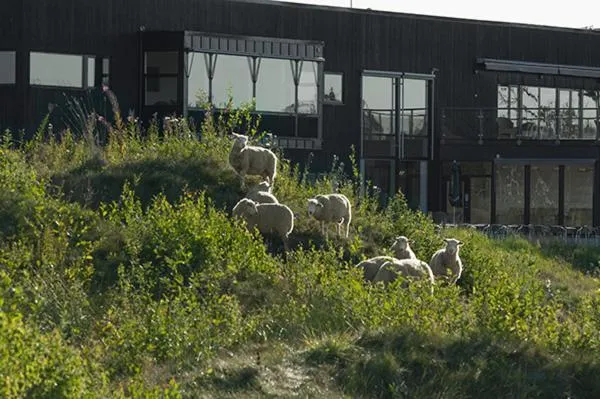 Day in Sand Golf Club