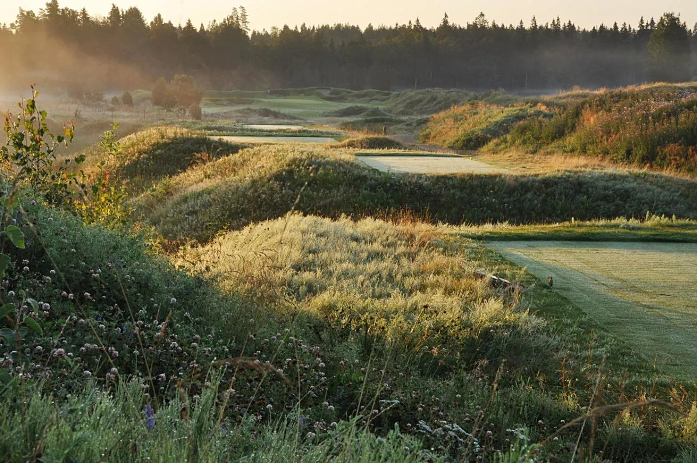 Natural landscape in Sand Golf Club