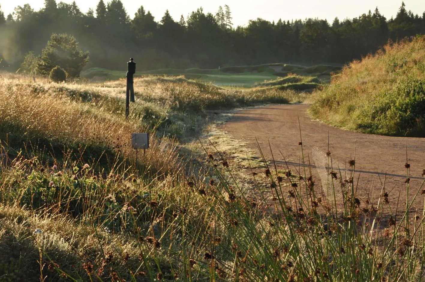 Natural landscape in Sand Golf Club