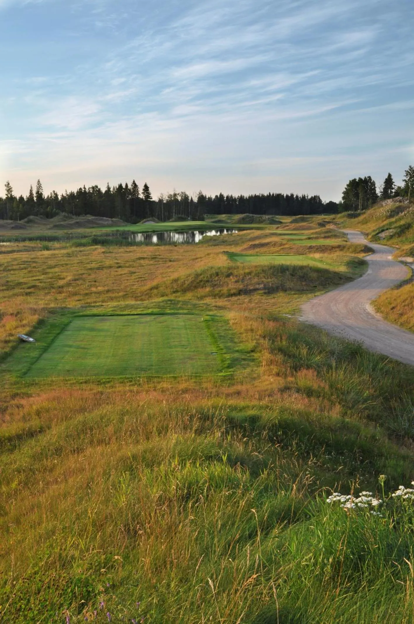 Natural landscape in Sand Golf Club
